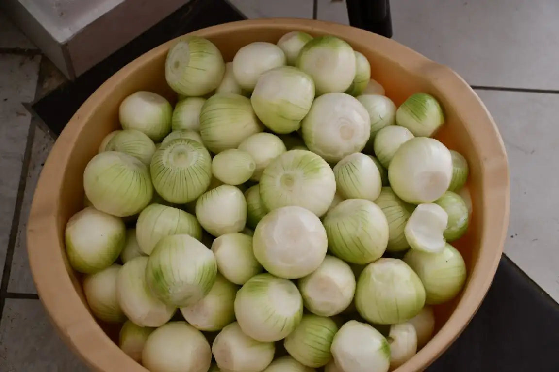 vol strukovec (7) (Medium)