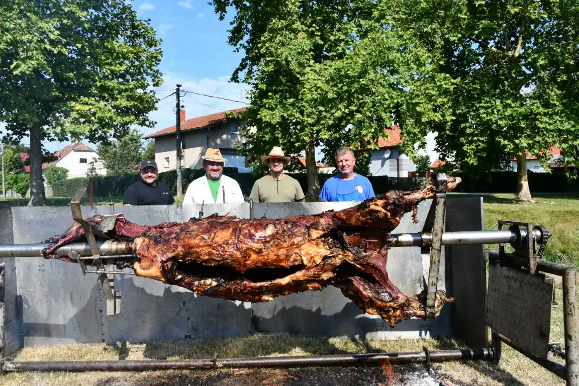 vol strukovec (8) (Medium)