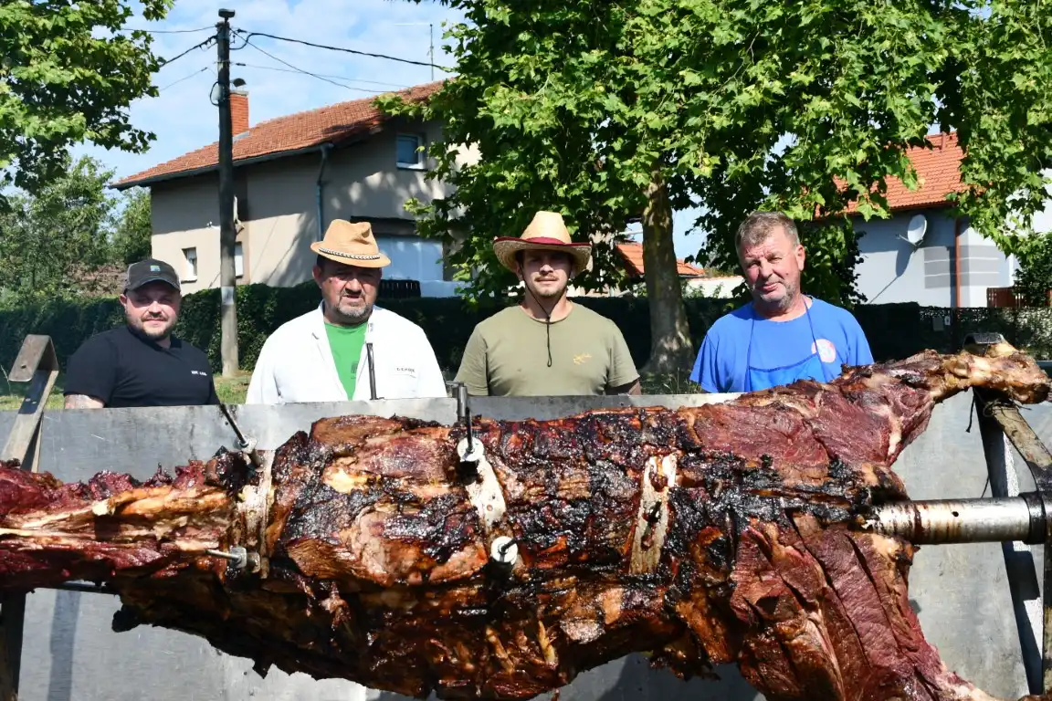 vol strukovec (9) (Medium)