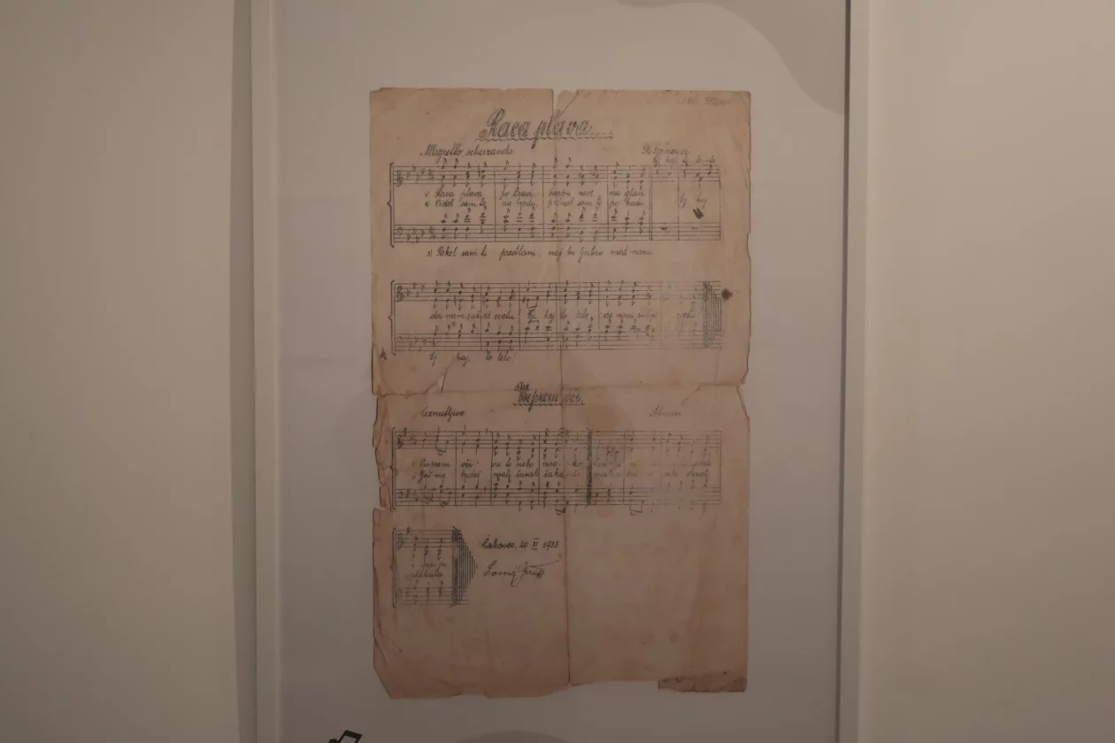 vratišinec Spomen dom vinko žganec (40)