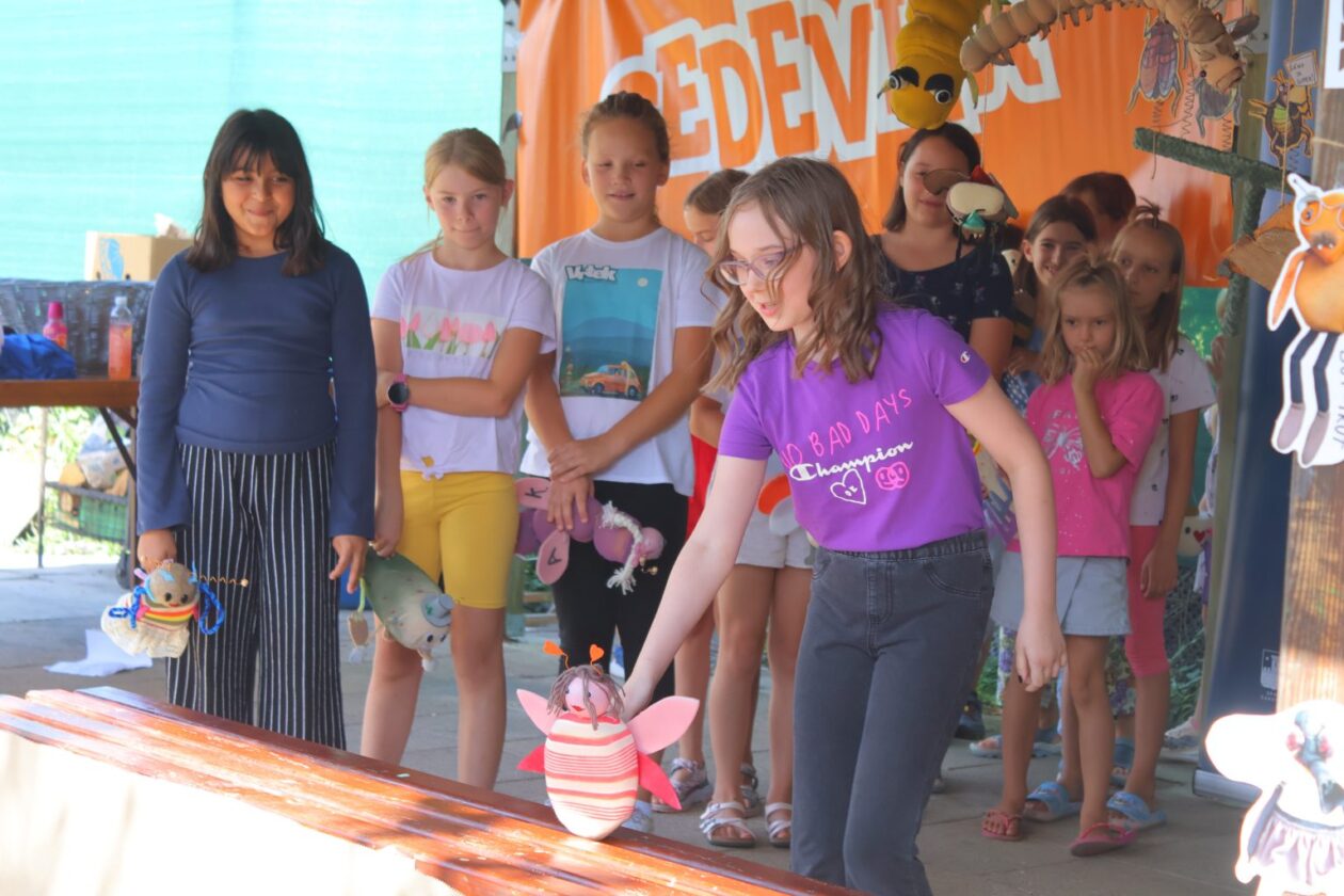 vrtek 2025 (31) vrtek 2025 (31)