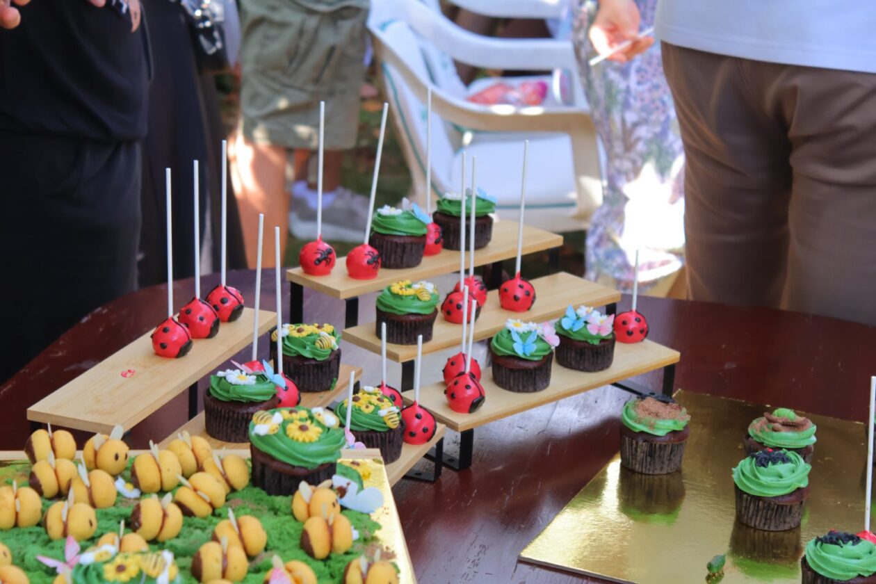 vrtek 2025 (33) vrtek 2025 (33)