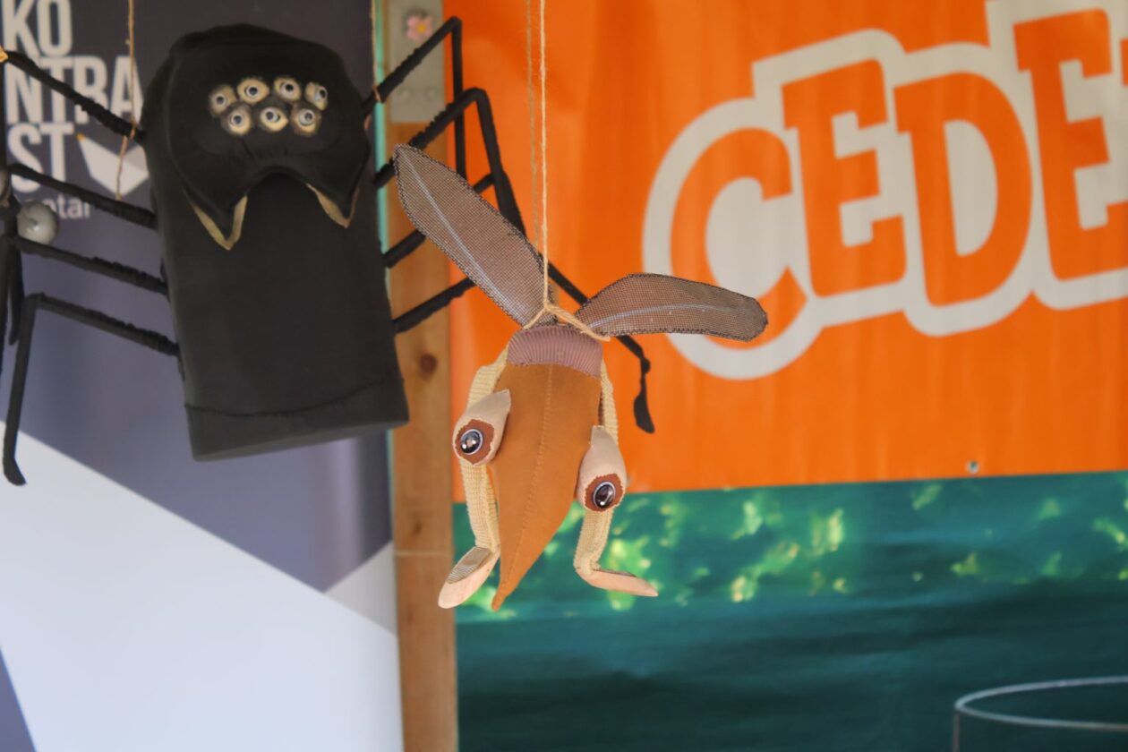 vrtek 2025 (5) vrtek 2025 (5)