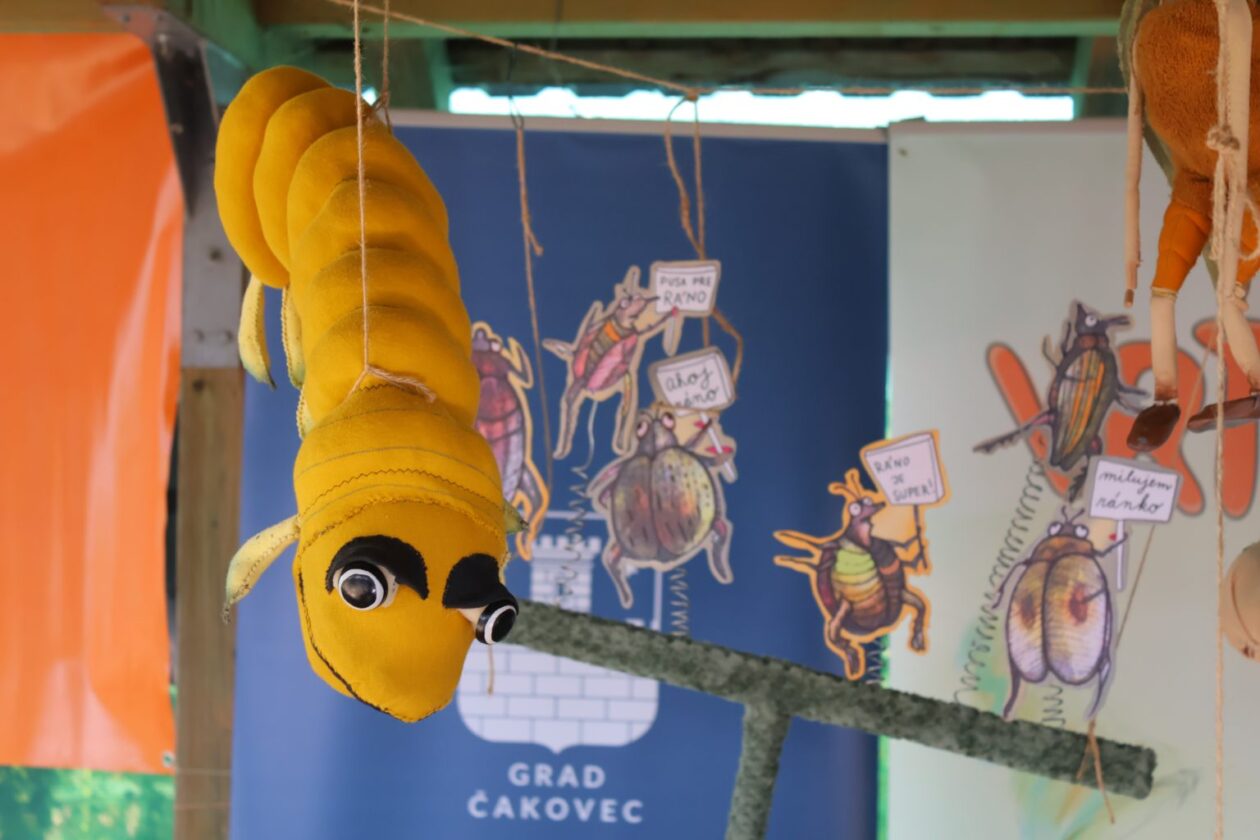 vrtek 2025 (6) vrtek 2025 (6)