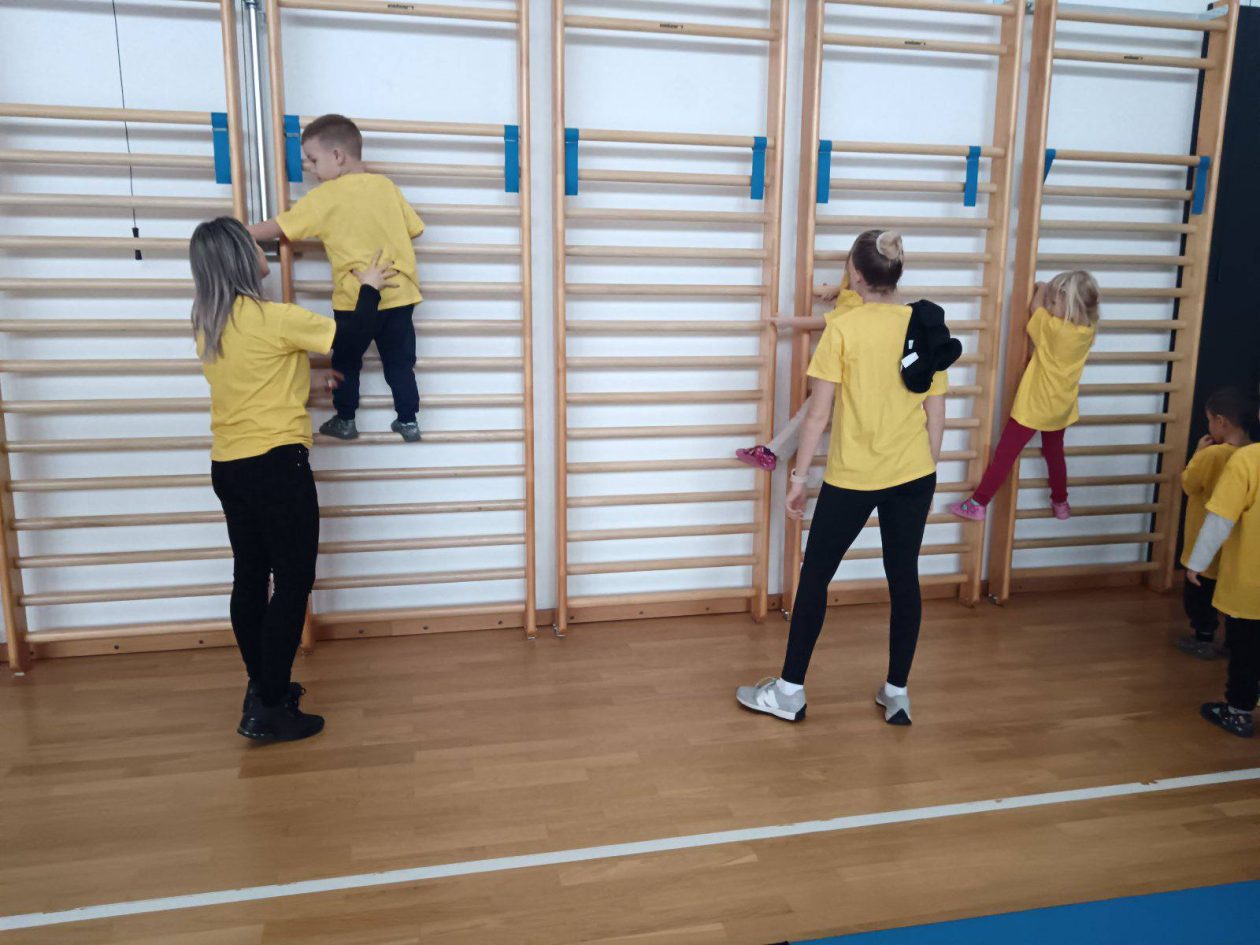 vrtko rukomet (15) vrtko rukomet (15)