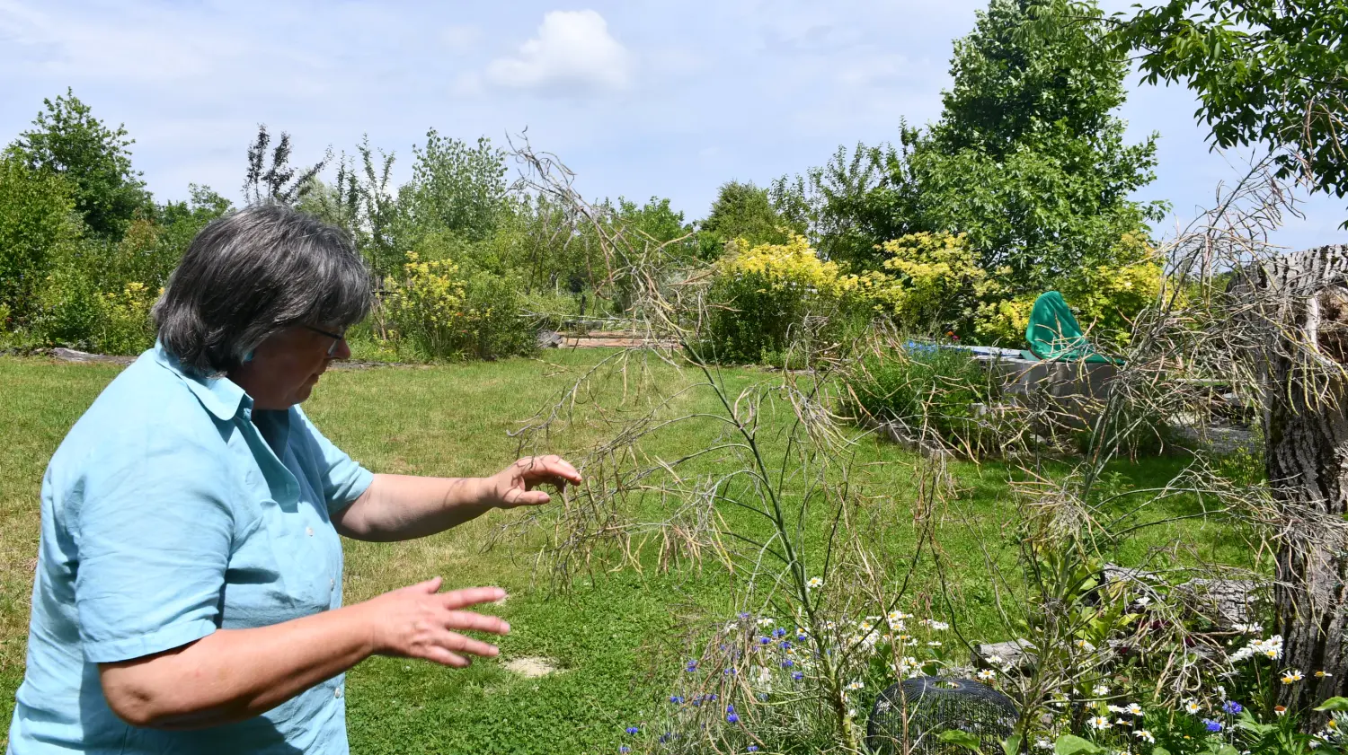 vrtovi,Ljiljana Bobić, Mirljana biber hren(1) vrtovi,Ljiljana Bobić, Mirljana biber hren(1)
