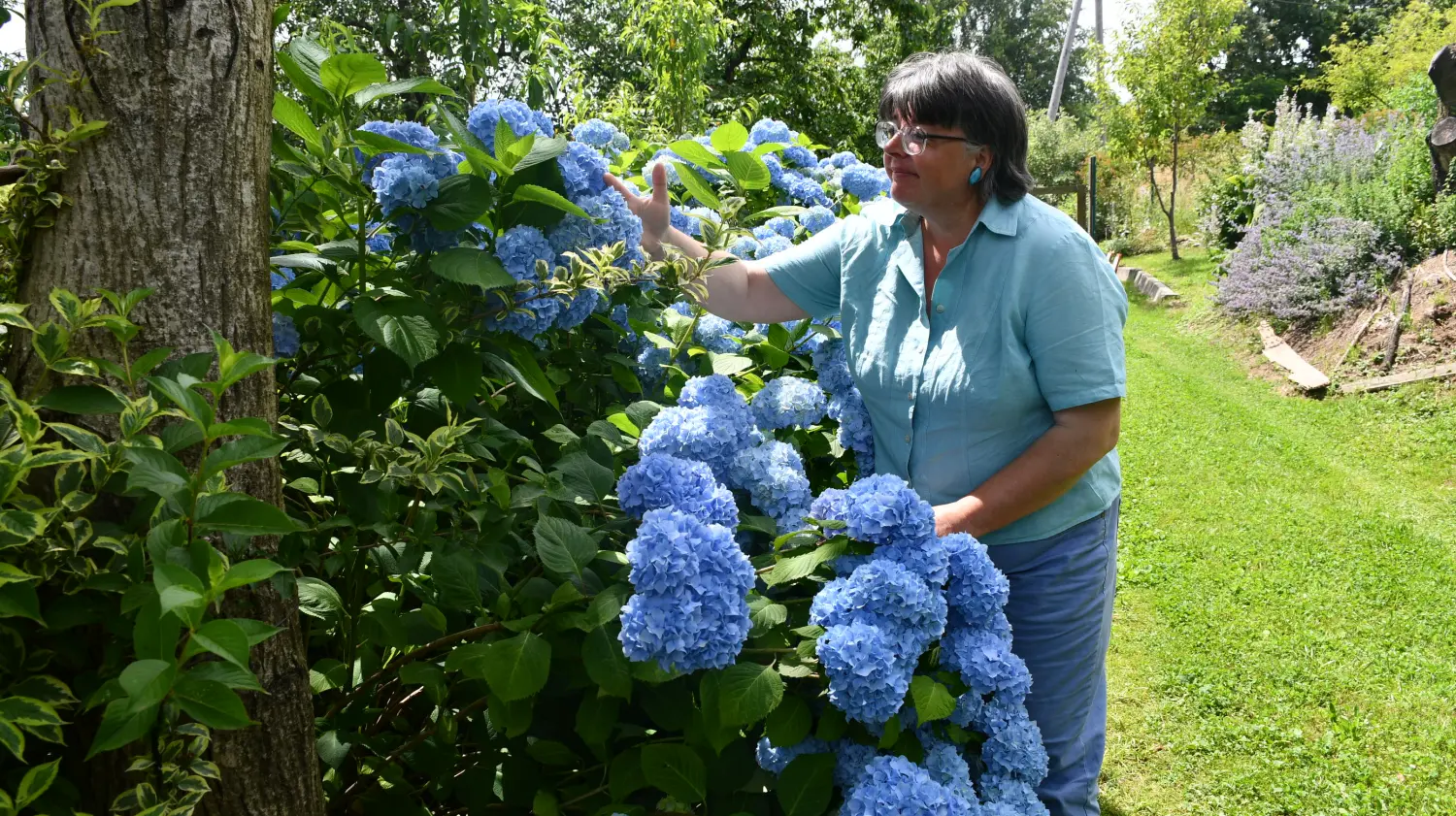 vrtovi,Ljiljana Bobić, Mirljana biber hren(11) vrtovi,Ljiljana Bobić, Mirljana biber hren(11)