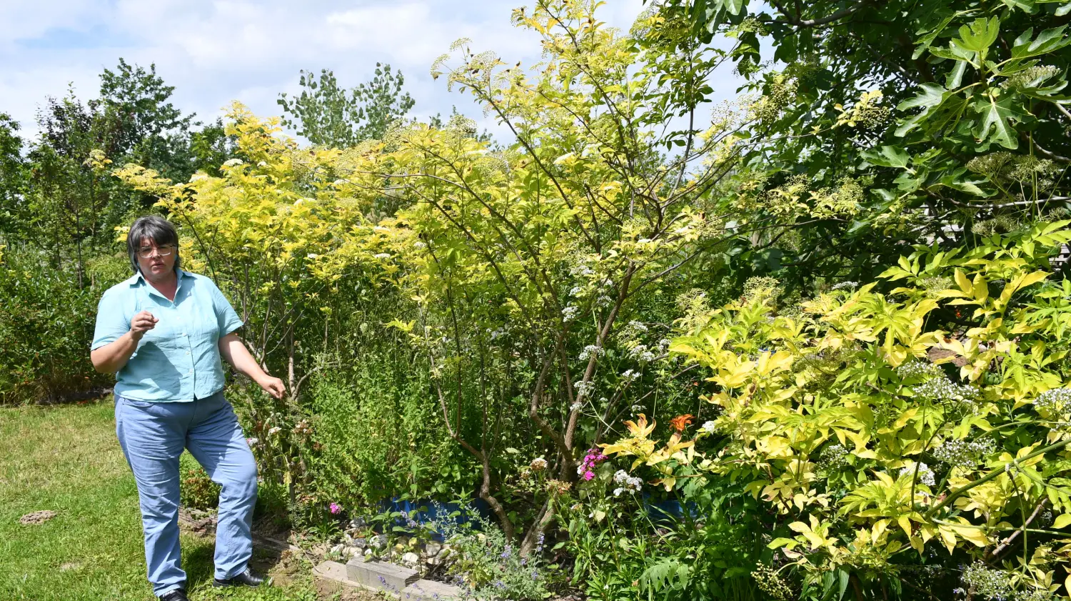 vrtovi,Ljiljana Bobić, Mirljana biber hren(2) vrtovi,Ljiljana Bobić, Mirljana biber hren(2)