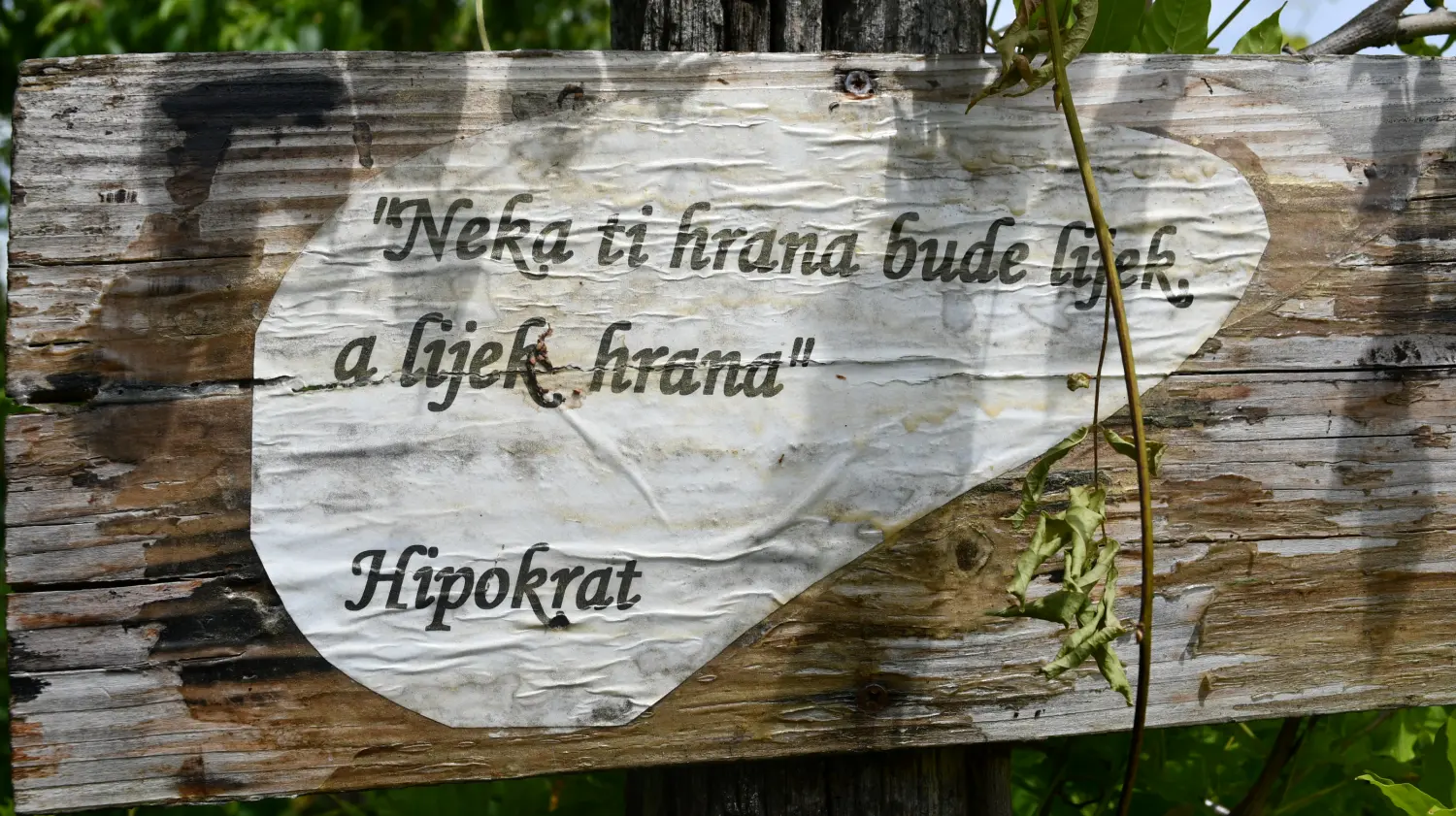 vrtovi,Ljiljana Bobić, Mirljana biber hren(3) vrtovi,Ljiljana Bobić, Mirljana biber hren(3)