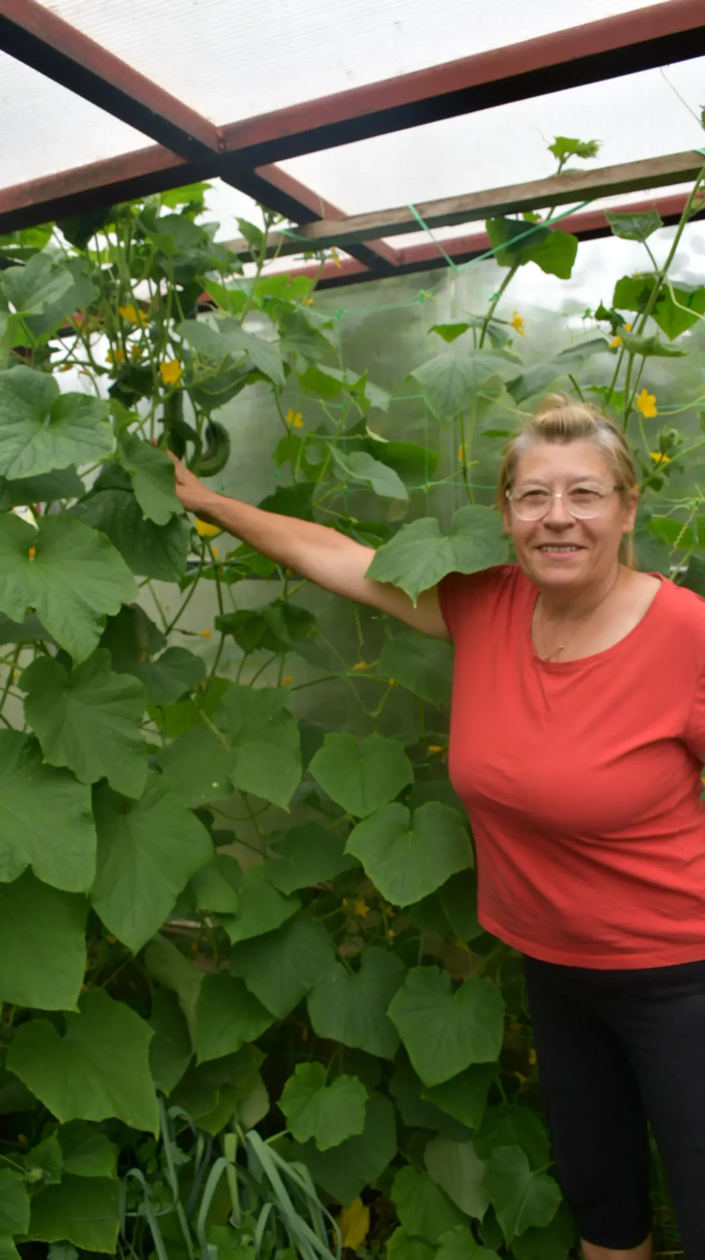 vrtovi,Ljiljana Bobić, Mirljana biber hren(5) vrtovi,Ljiljana Bobić, Mirljana biber hren(5)