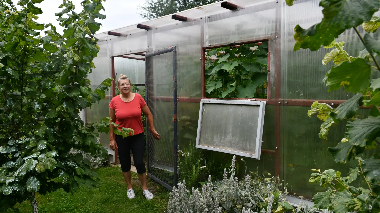 vrtovi,Ljiljana Bobić, Mirljana biber hren(8) vrtovi,Ljiljana Bobić, Mirljana biber hren(8)