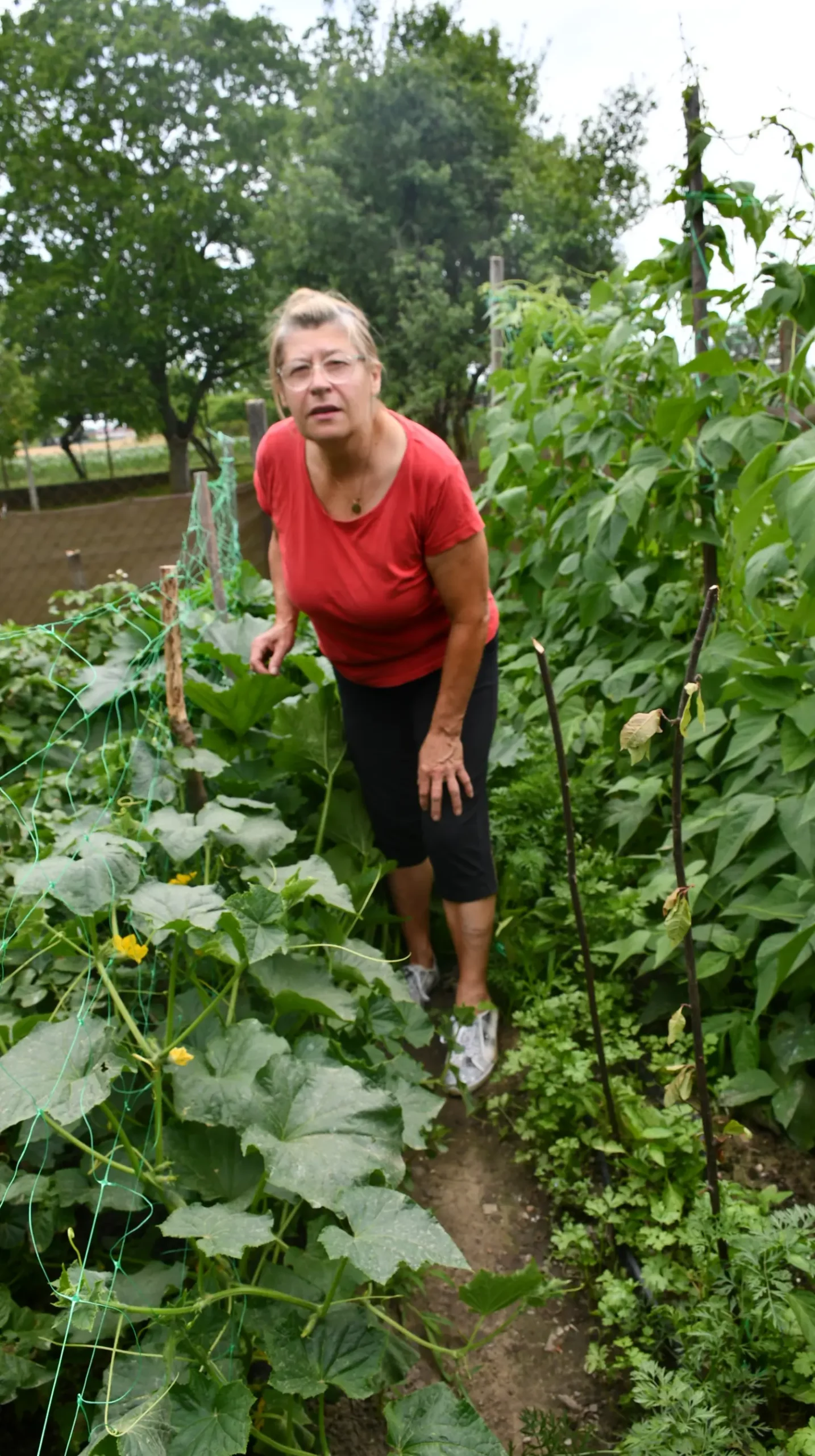 vrtovi,Ljiljana Bobić, Mirljana biber hren(9) vrtovi,Ljiljana Bobić, Mirljana biber hren(9)