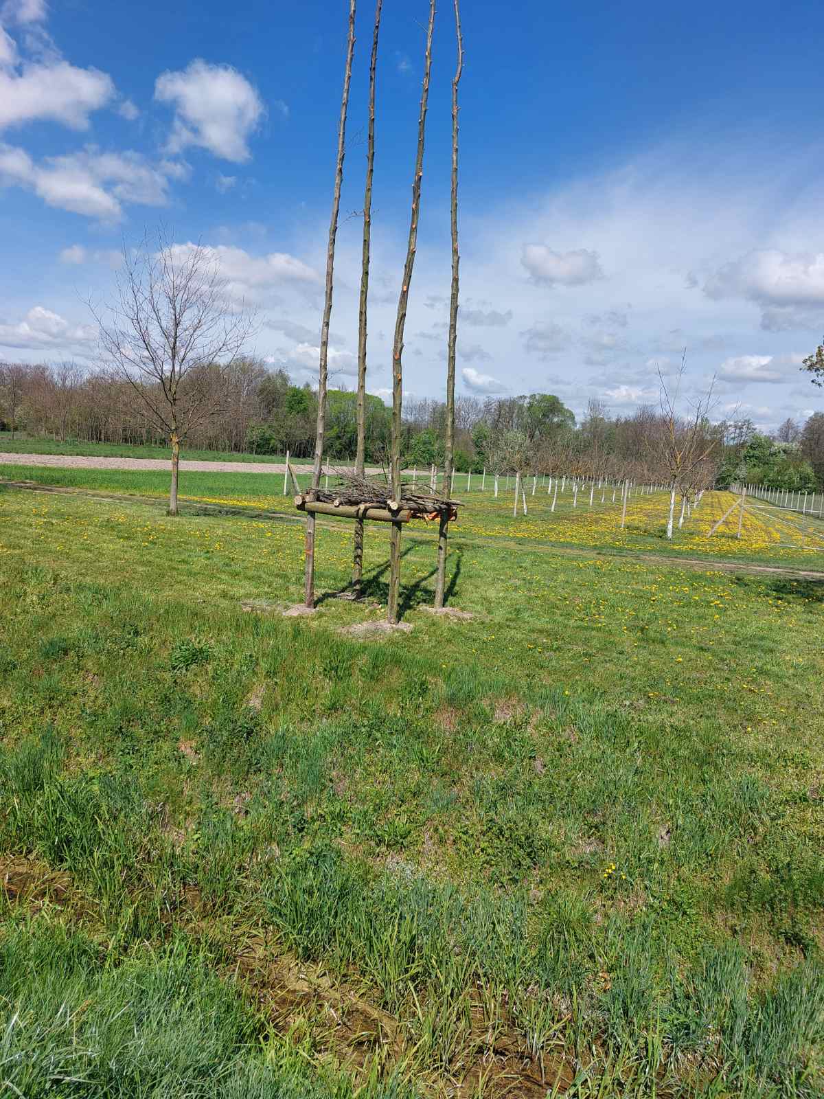 vuzmenka Belica 2025 (2) vuzmenka Belica 2025 (2)