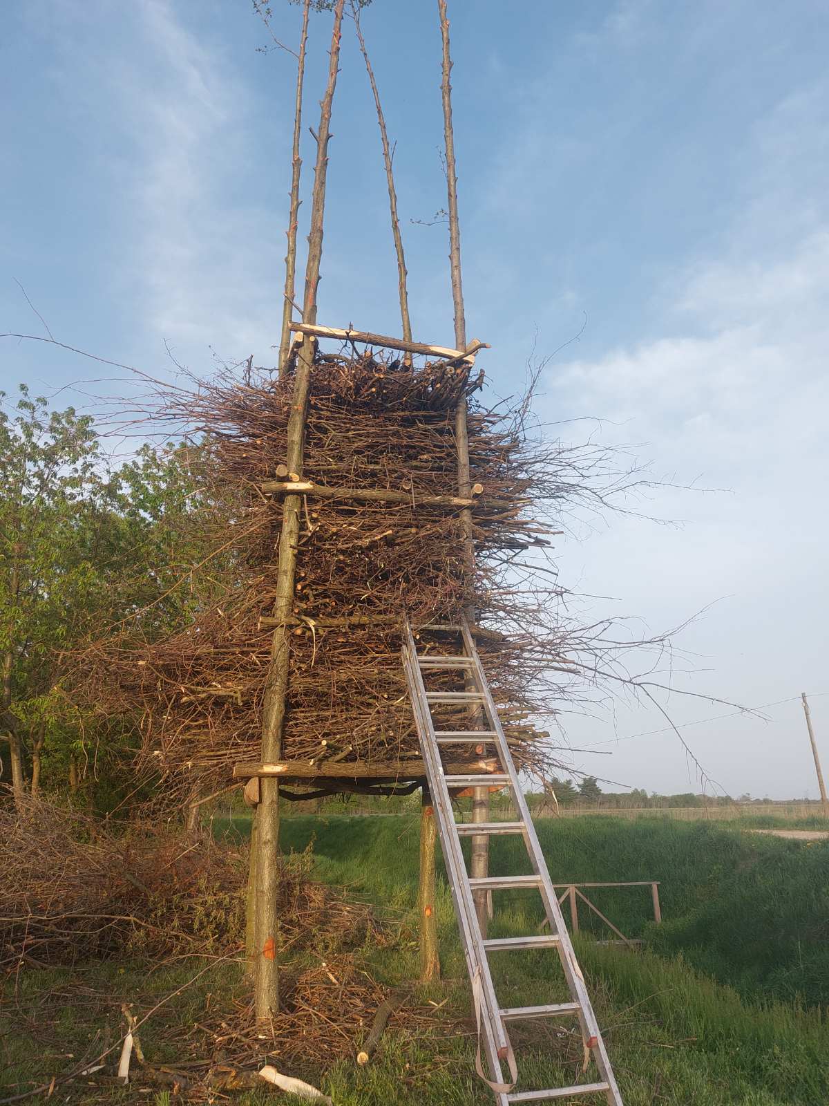 vuzmenka Belica 2025 (3) vuzmenka Belica 2025 (3)