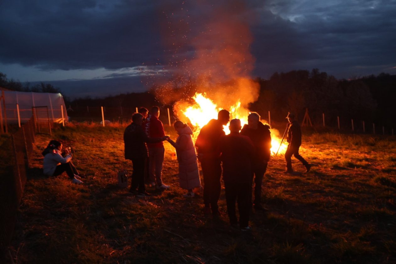vuzmenka Zasadbreg (10) vuzmenka Zasadbreg (10)