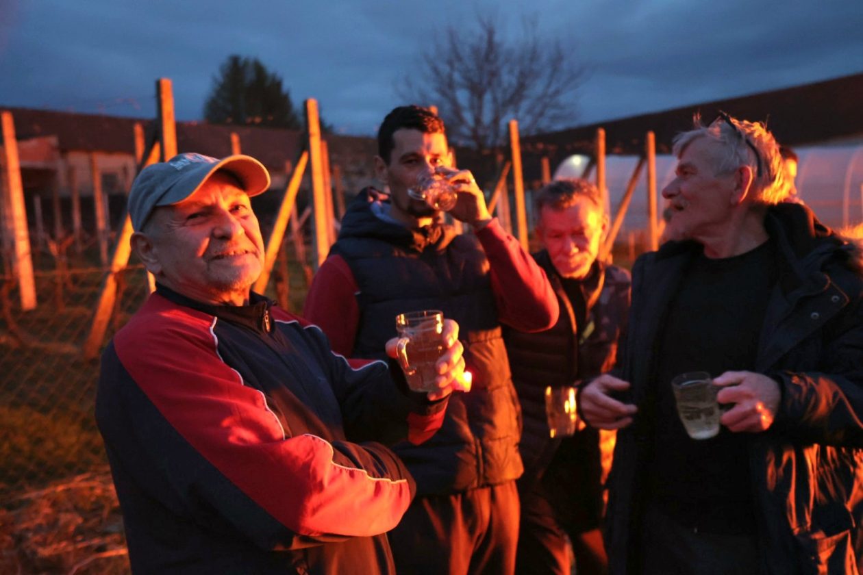 vuzmenka Zasadbreg (11) vuzmenka Zasadbreg (11)