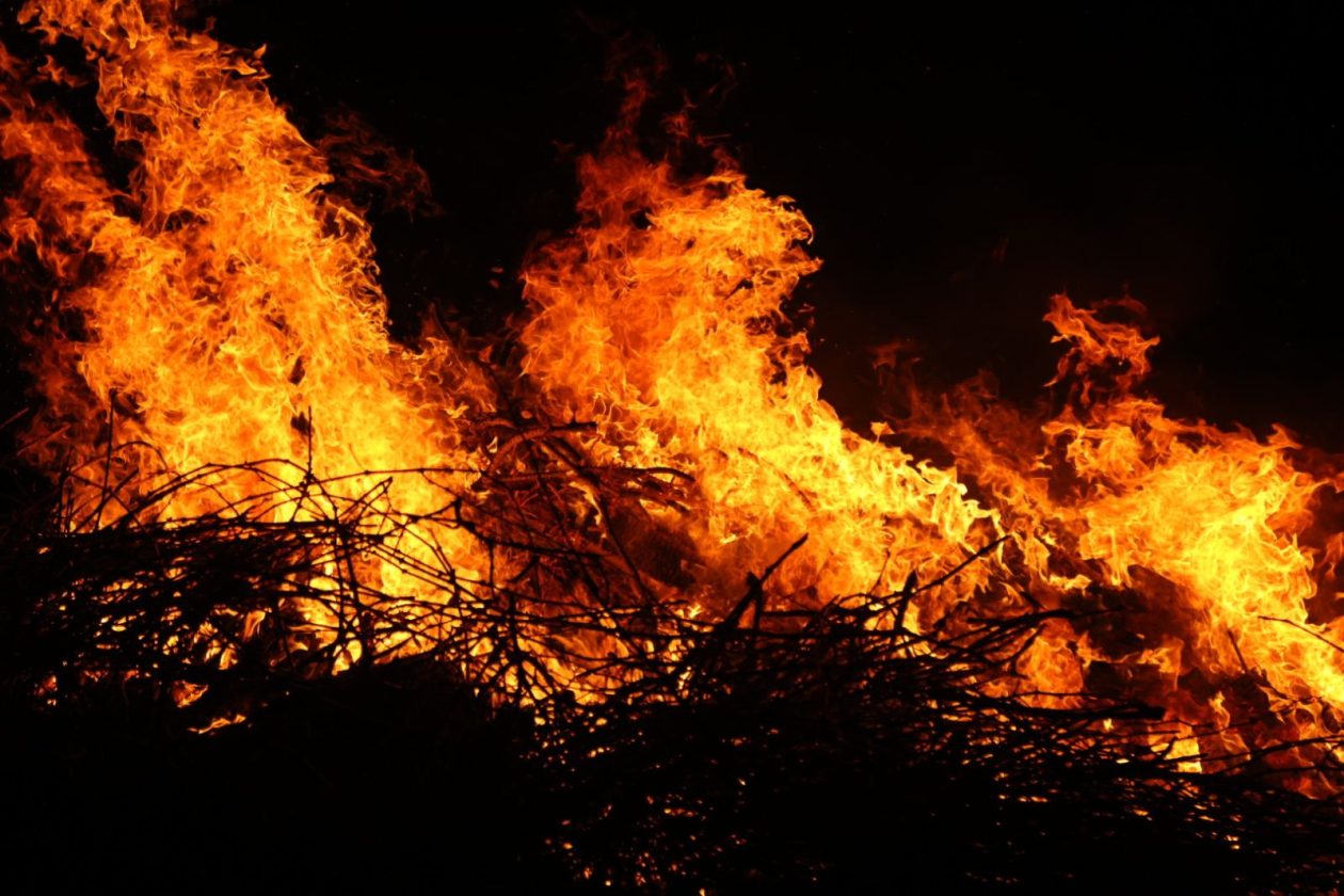 vuzmenka Zasadbreg (12) vuzmenka Zasadbreg (12)