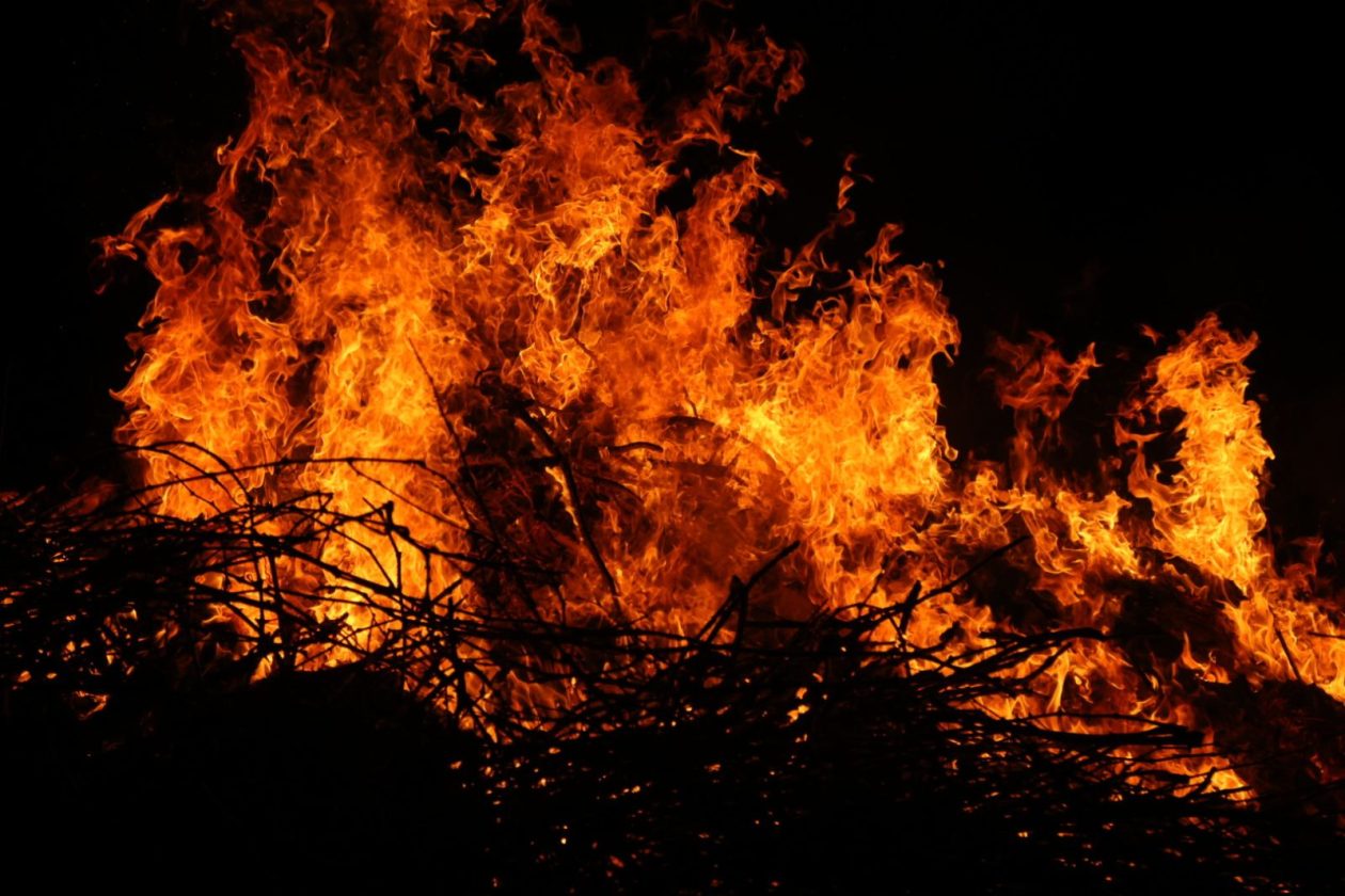 vuzmenka Zasadbreg (13) vuzmenka Zasadbreg (13)