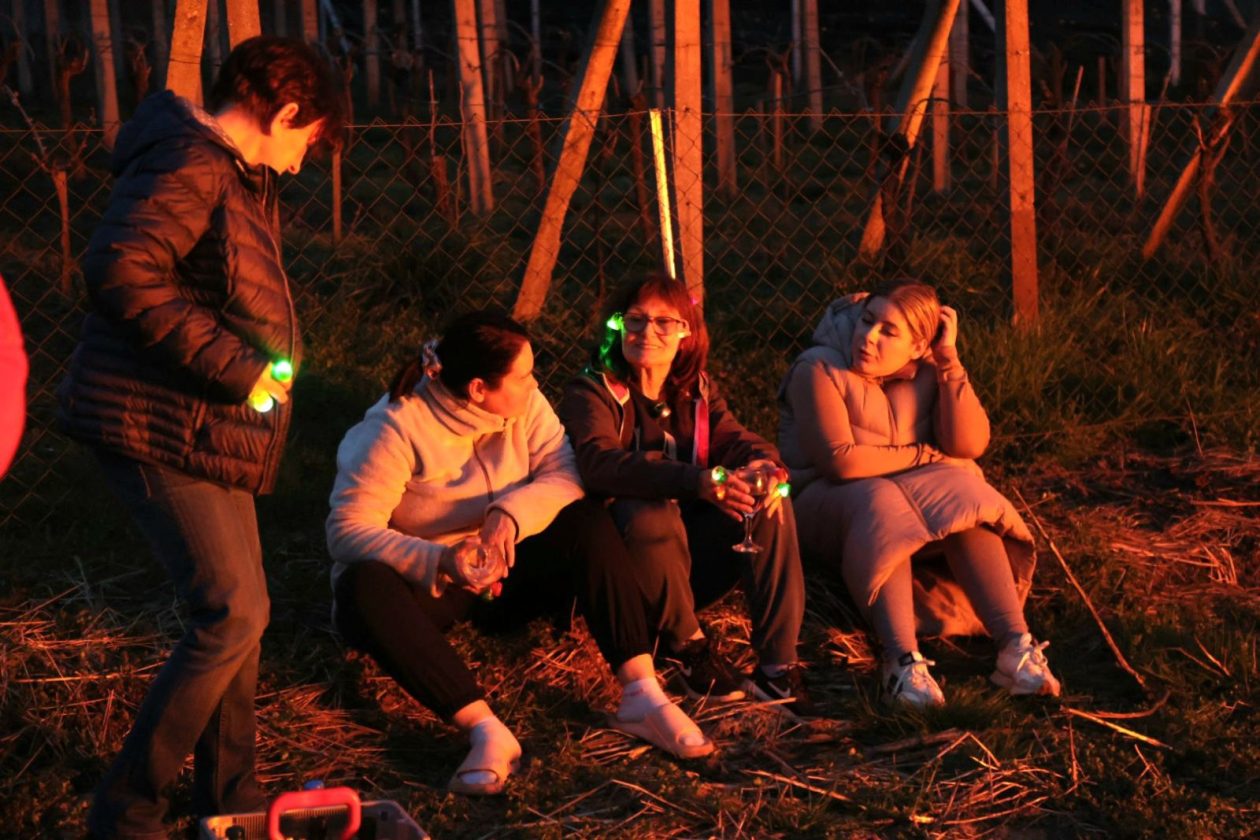 vuzmenka Zasadbreg (14) vuzmenka Zasadbreg (14)