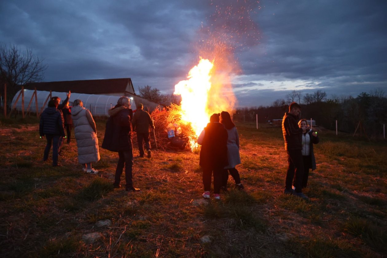 vuzmenka Zasadbreg (4) vuzmenka Zasadbreg (4)