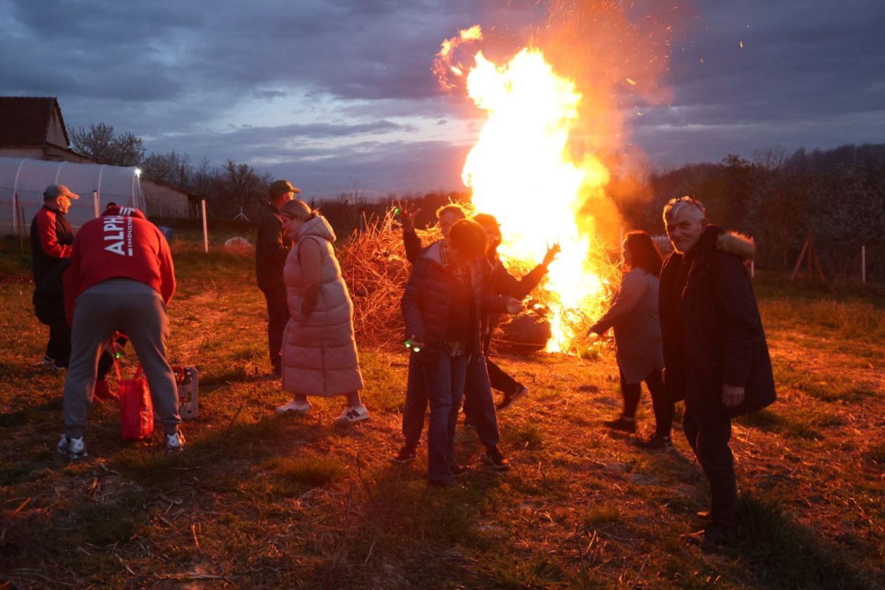 vuzmenka Zasadbreg (5) vuzmenka Zasadbreg (5)