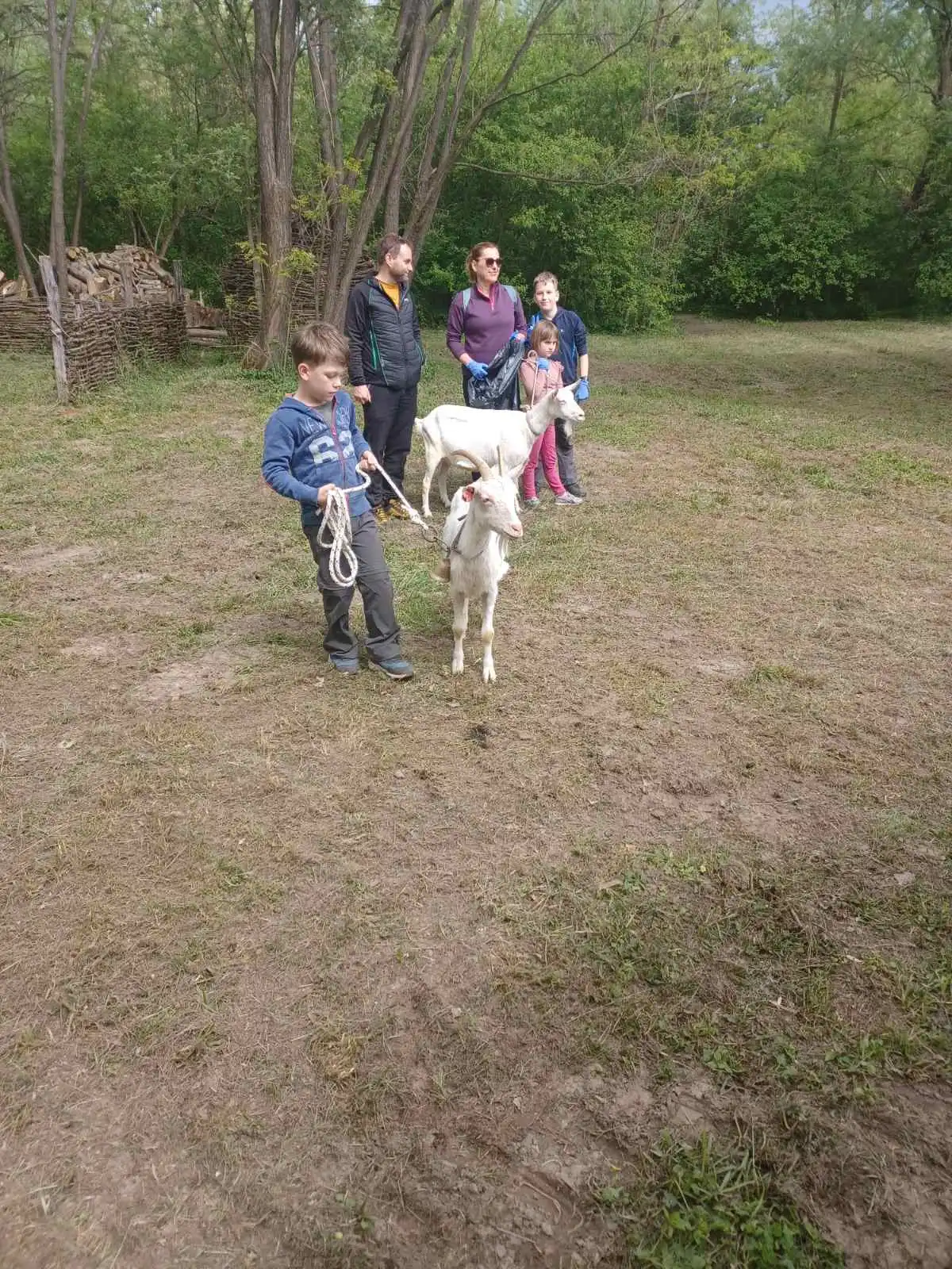 z cugom v zeleno međimurje,oporovec (4) z cugom v zeleno međimurje,oporovec (4)