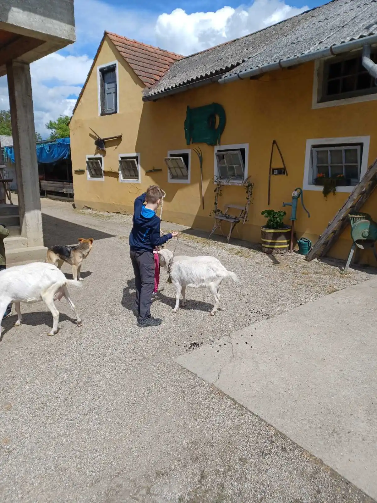 z cugom v zeleno međimurje,oporovec (5) z cugom v zeleno međimurje,oporovec (5)