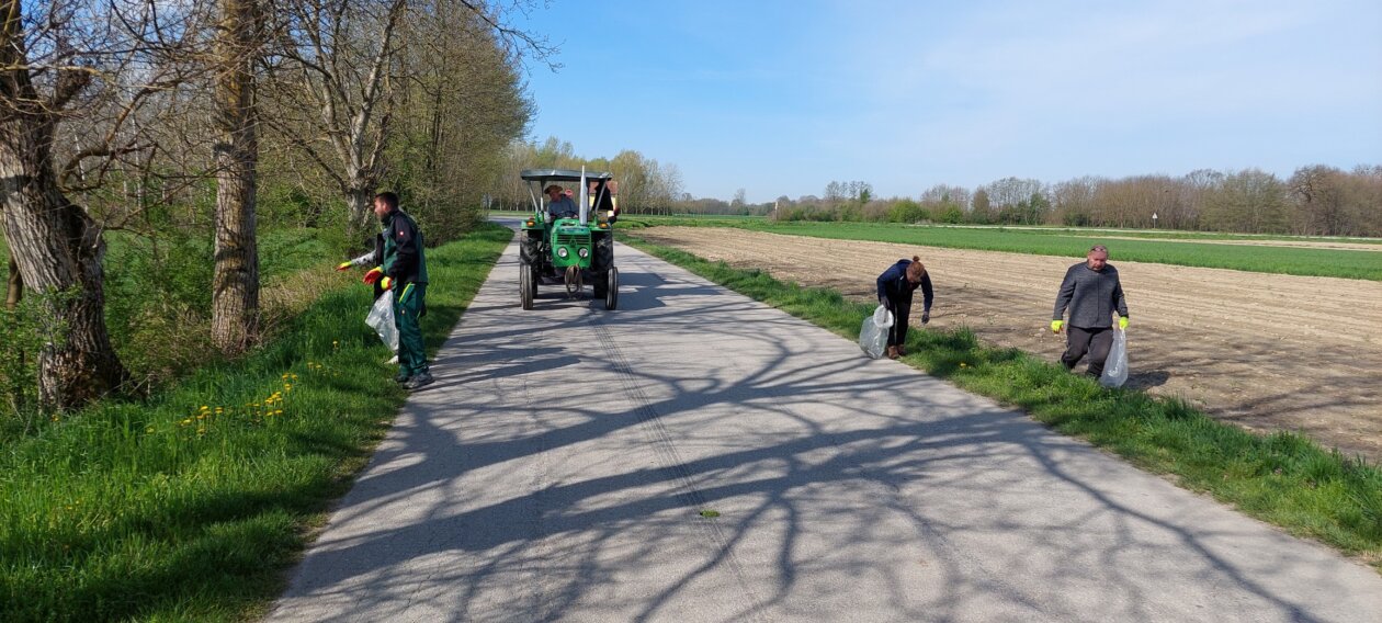 za čisti goričan,čistka goričan (1)