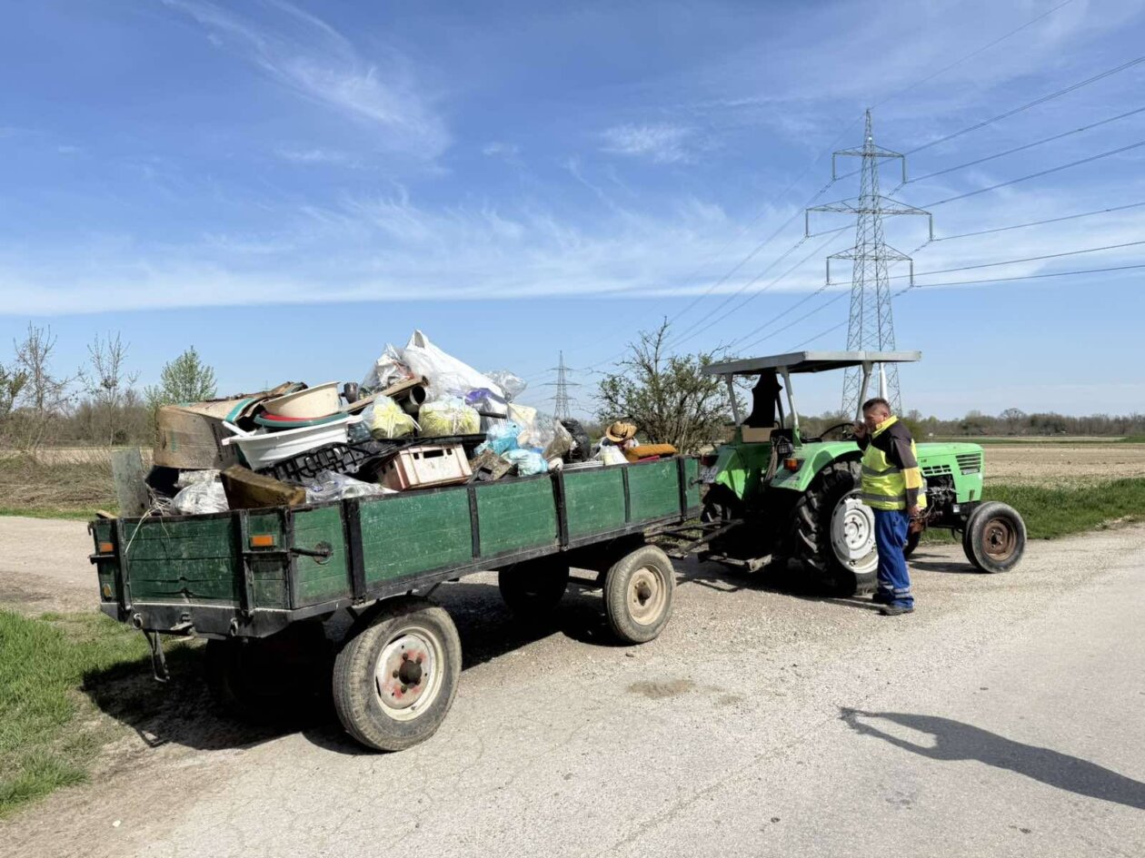 za čisti goričan,čistka goričan (13)