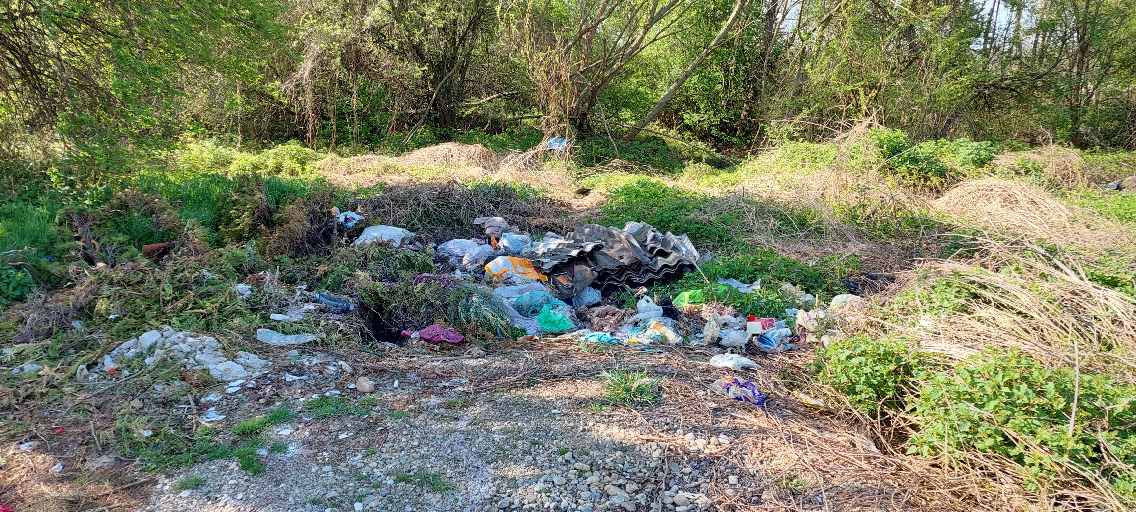 za čisti goričan,čistka goričan (15)