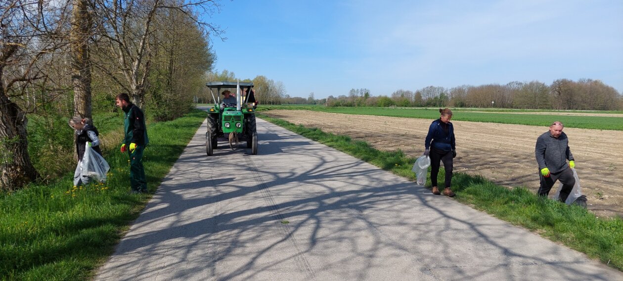 za čisti goričan,čistka goričan (3)