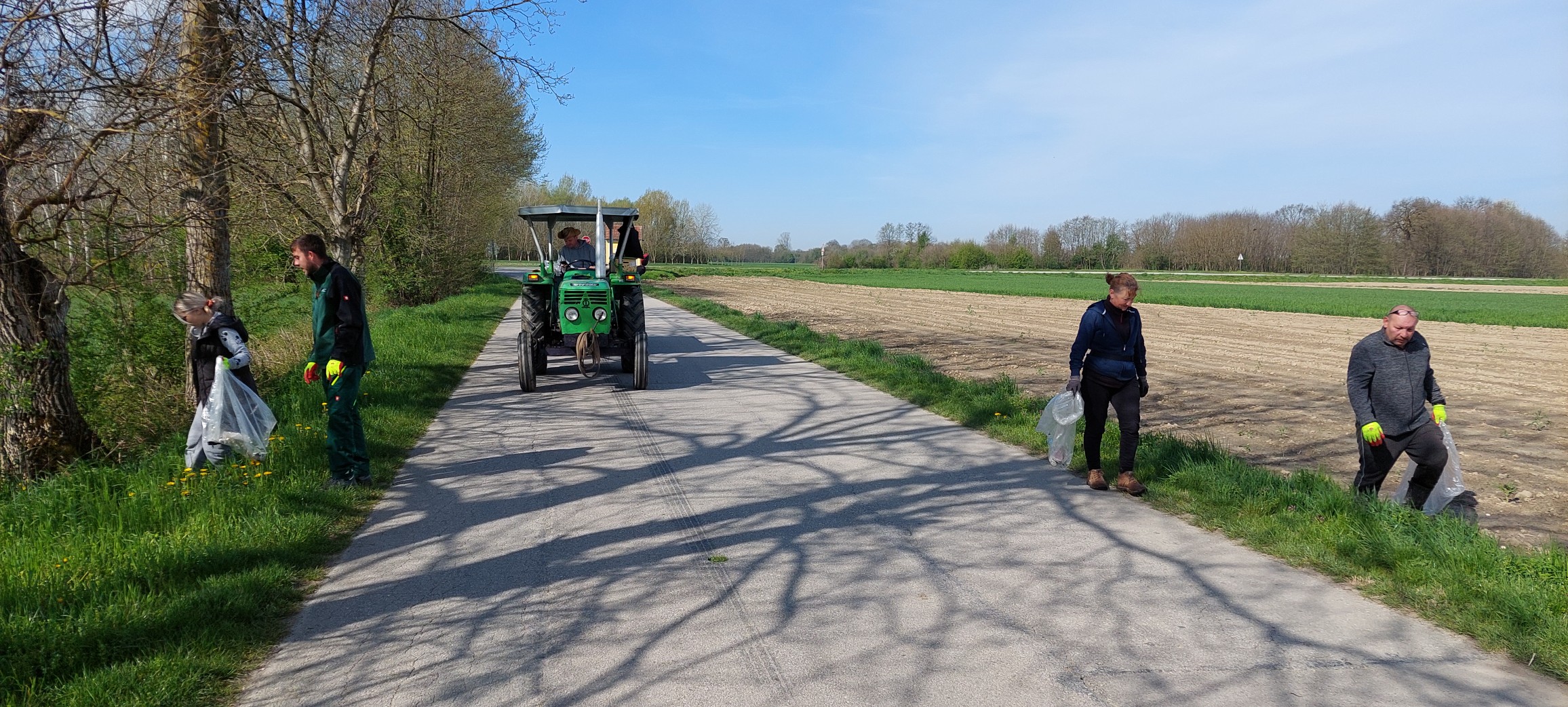 za čisti goričan,čistka goričan (3)