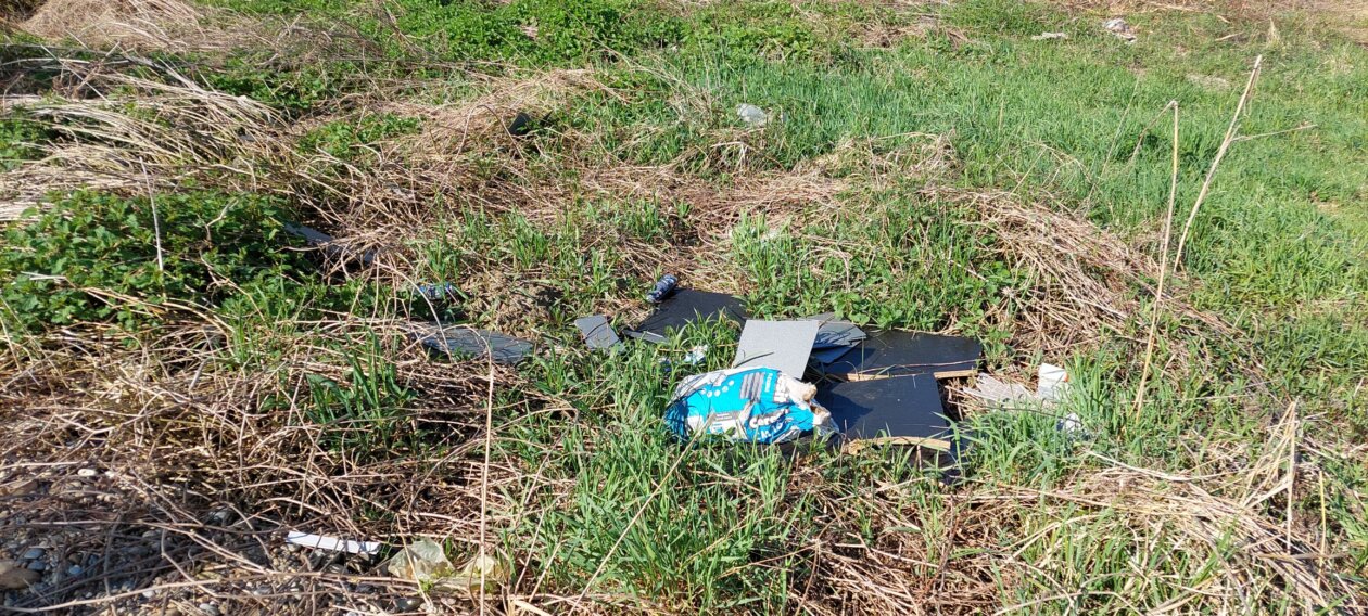 za čisti goričan,čistka goričan (5)