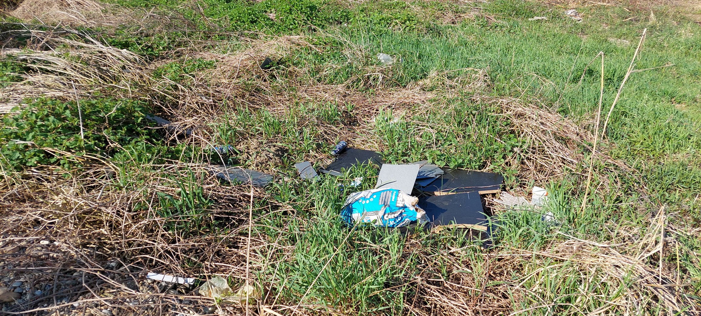 za čisti goričan,čistka goričan (5)