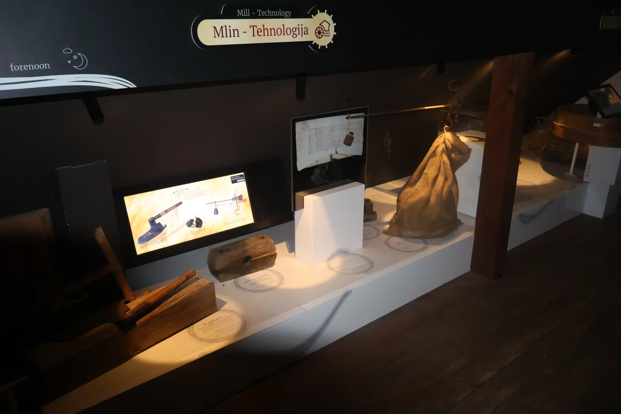 žabnik USAMLJENI MLIN (1)