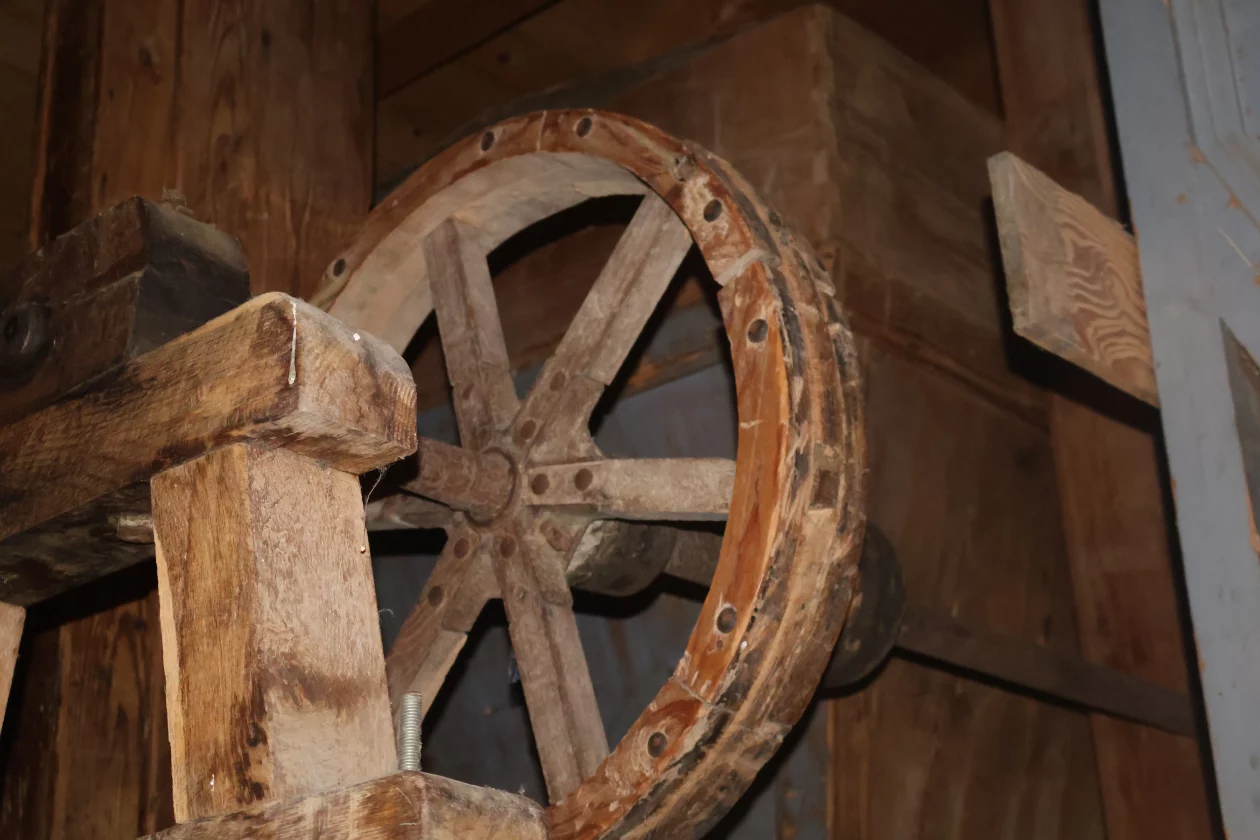 žabnik USAMLJENI MLIN (26)