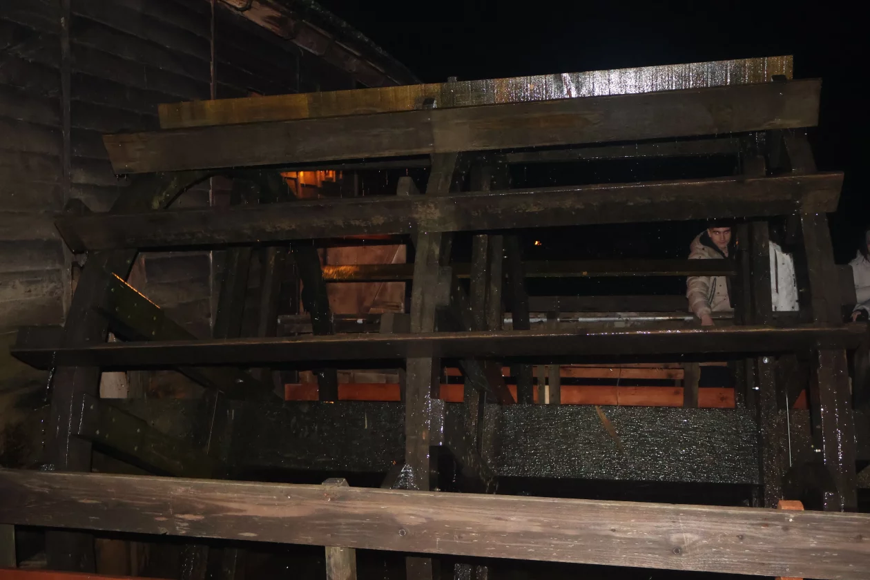 žabnik USAMLJENI MLIN (29)