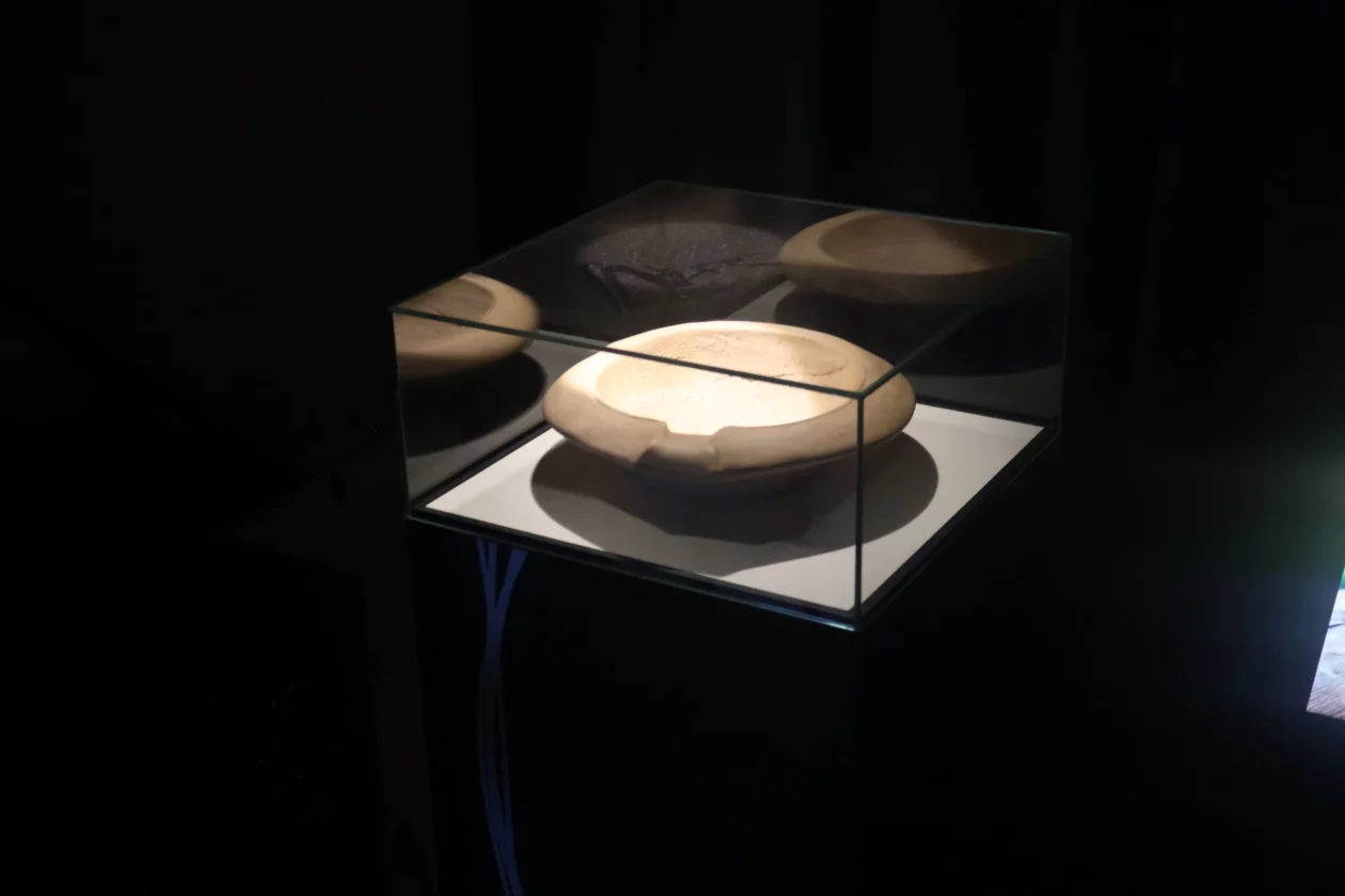 žabnik USAMLJENI MLIN (3)