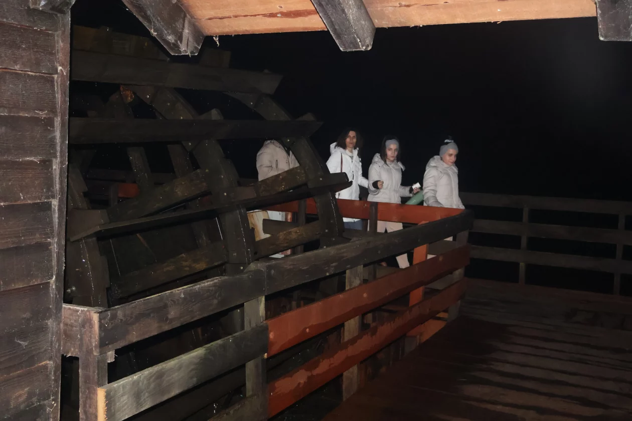 žabnik USAMLJENI MLIN (30)