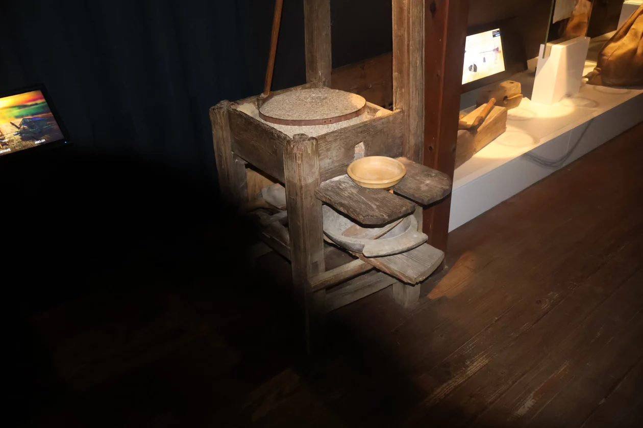 žabnik USAMLJENI MLIN (35)