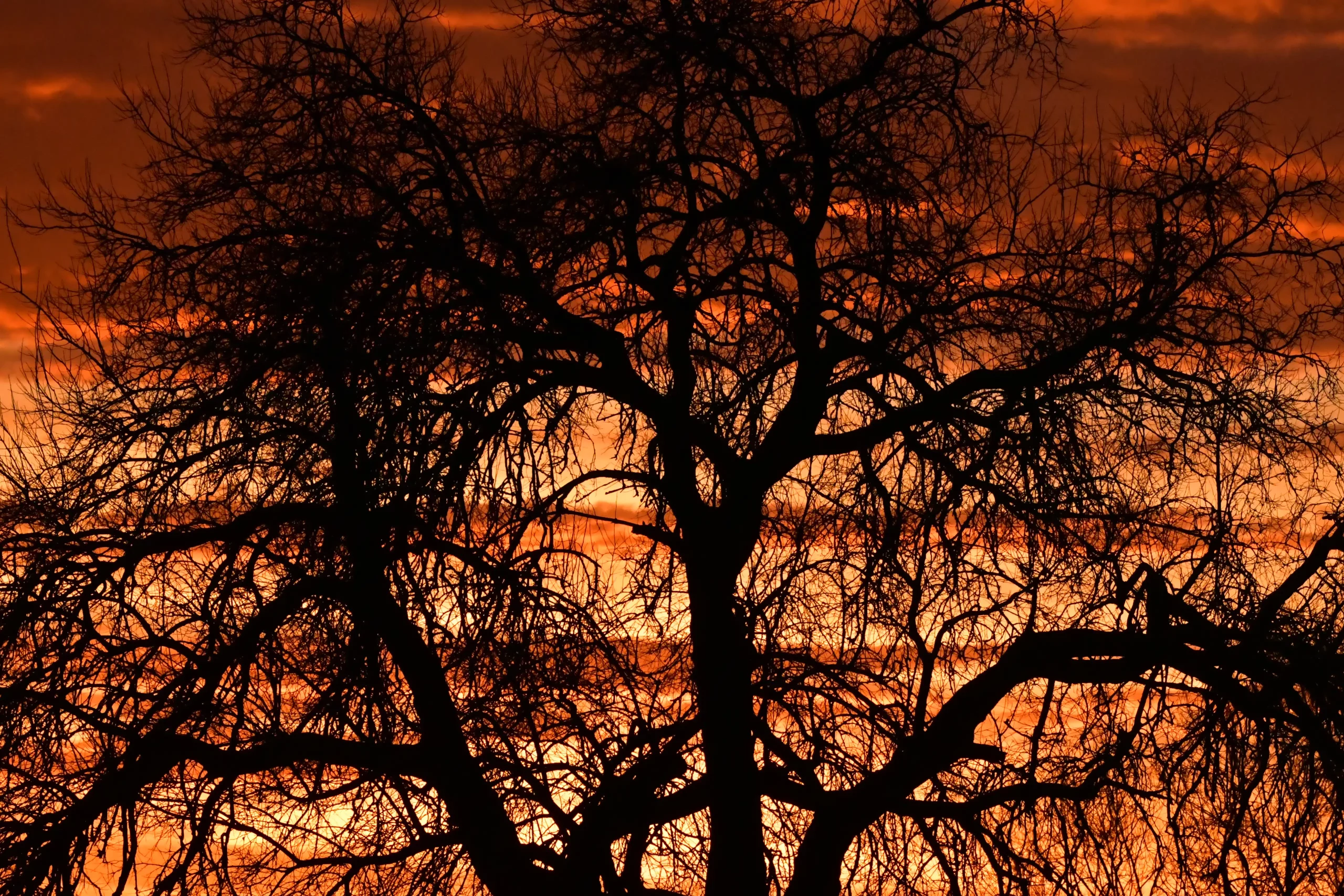 zalazak (1) zalazak (1)