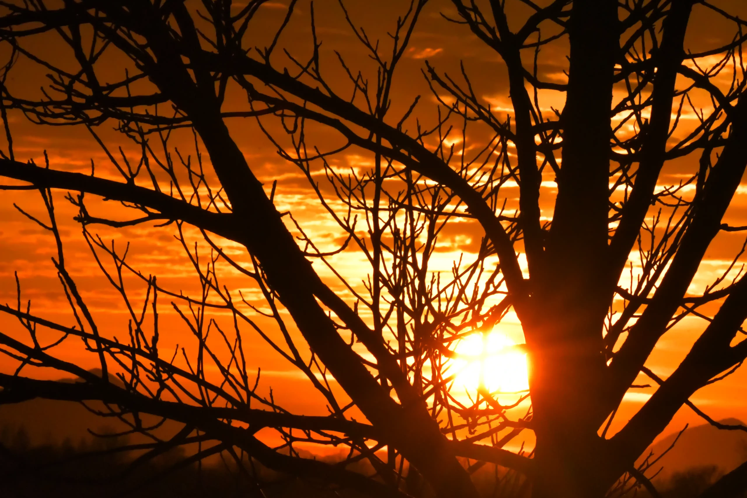 zalazak (4) zalazak (4)