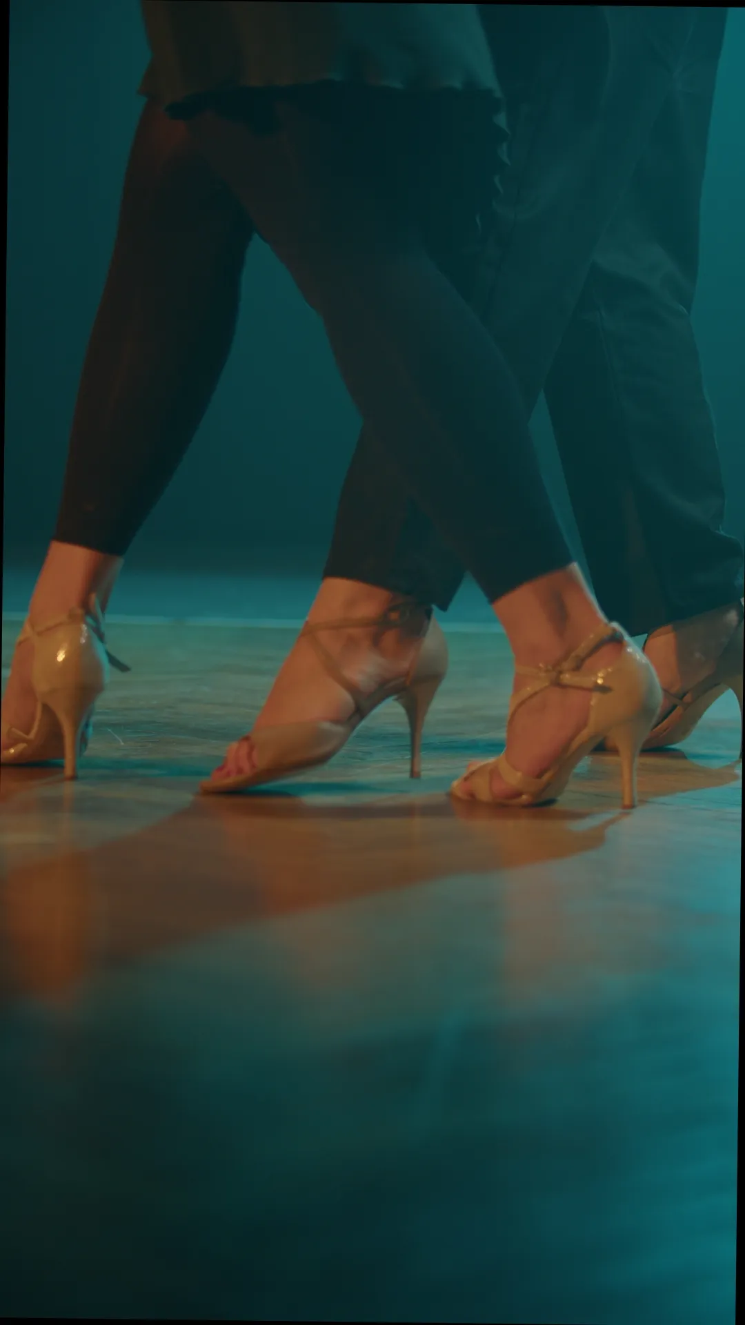 zanjko mcfadden tango (4) zanjko mcfadden tango (4)