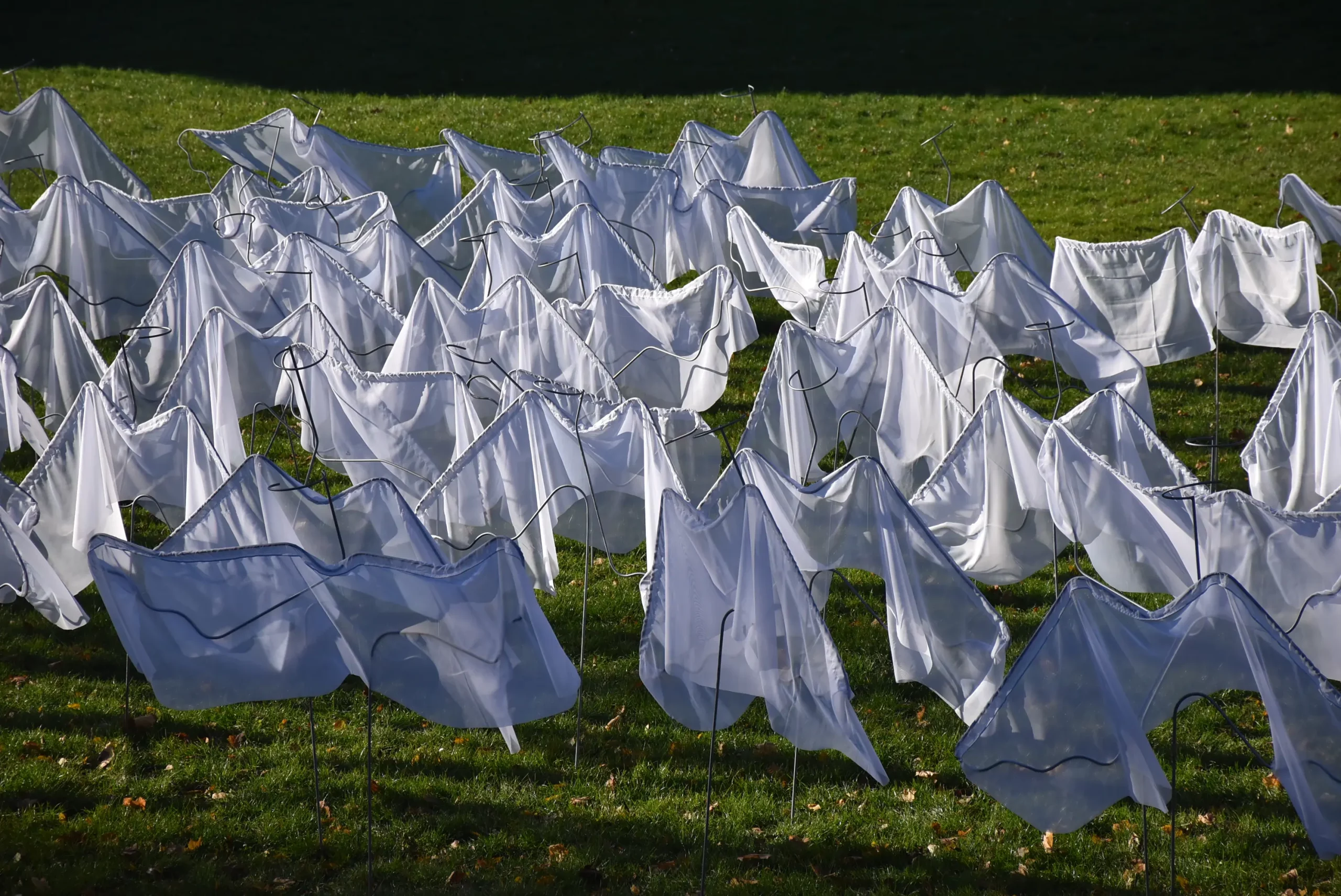 zbor anđela perivoj zrinski (2)