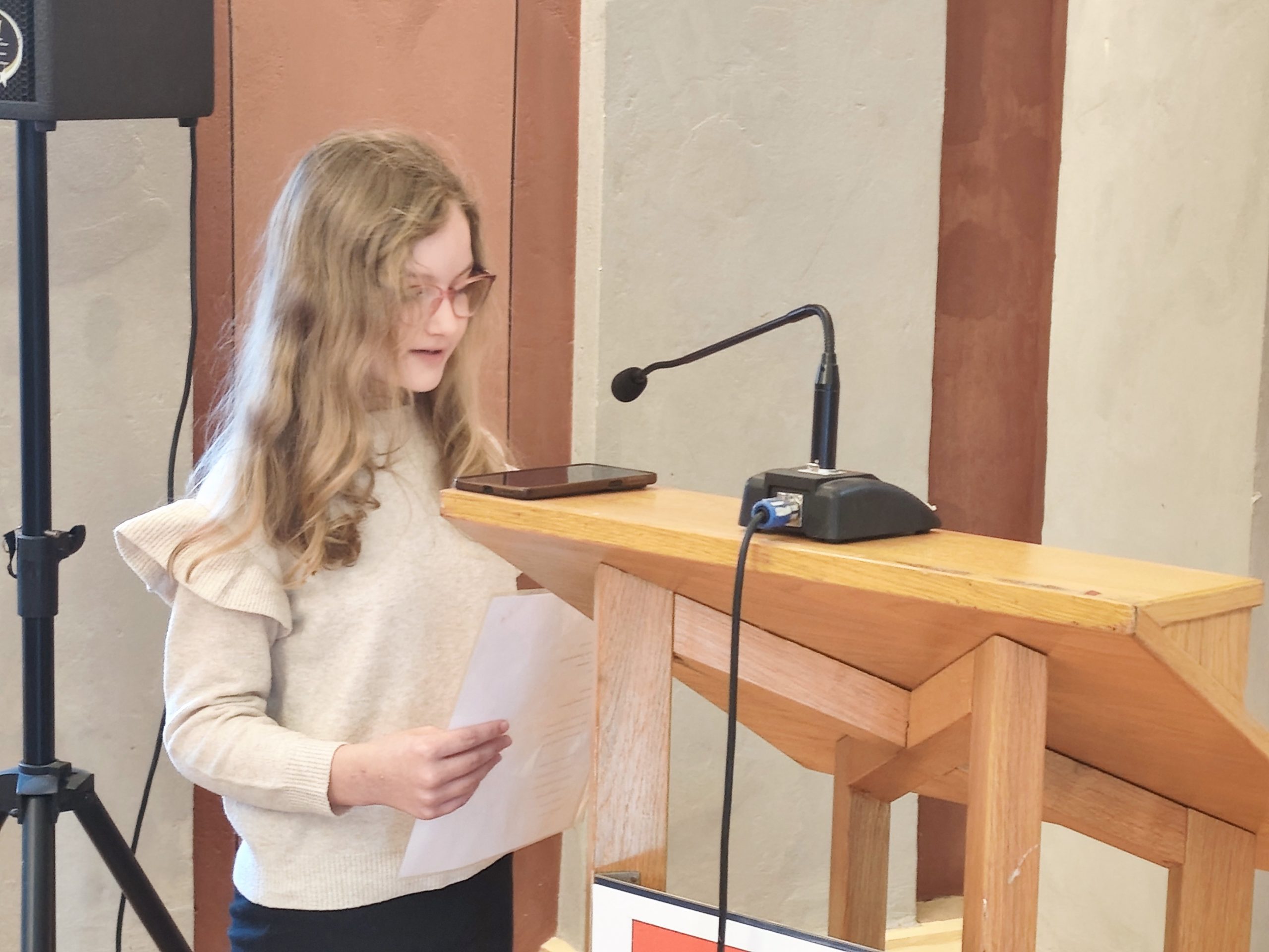 zbornik važnih priča mlada pera (8)