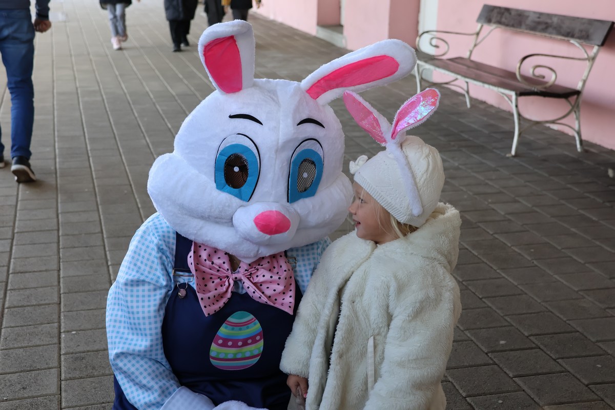 zeko express 2026 (1) zeko express 2026 (1)