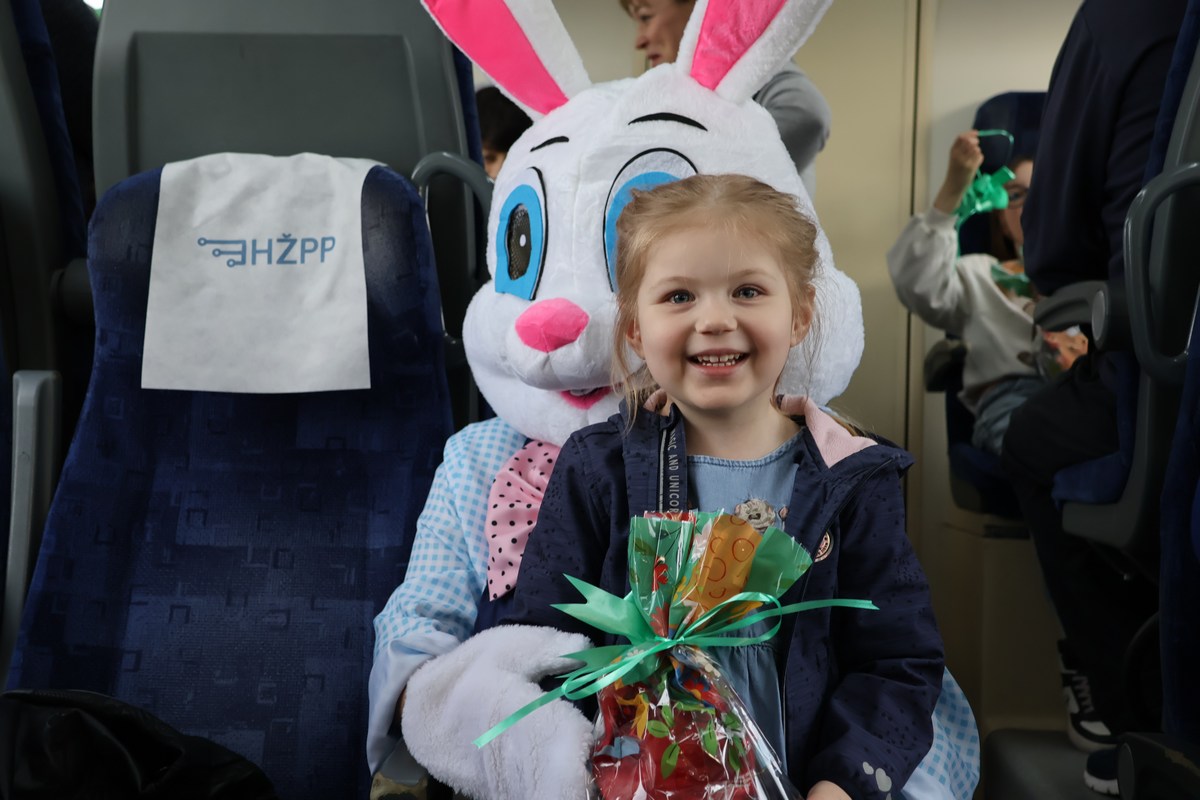 zeko express 2026 (10) zeko express 2026 (10)