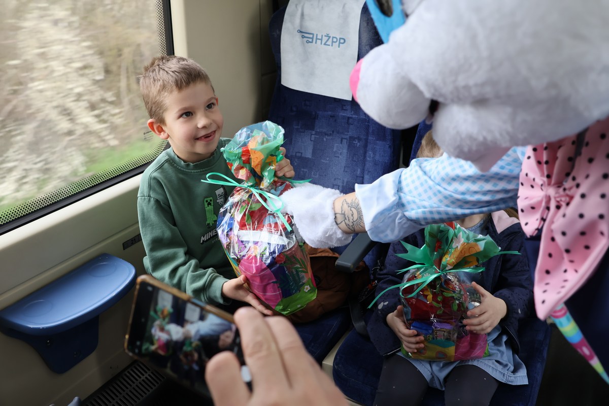 zeko express 2026 (11) zeko express 2026 (11)