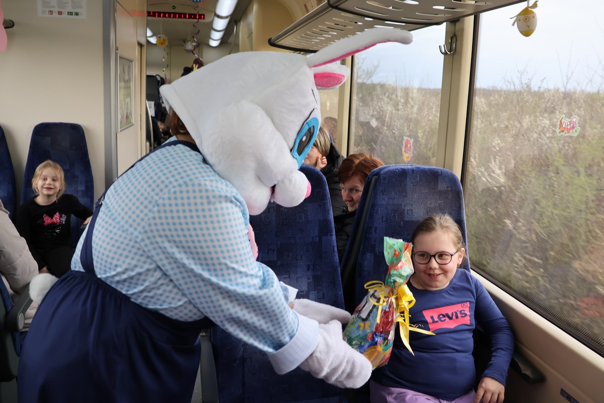 zeko express 2026 (13) zeko express 2026 (13)