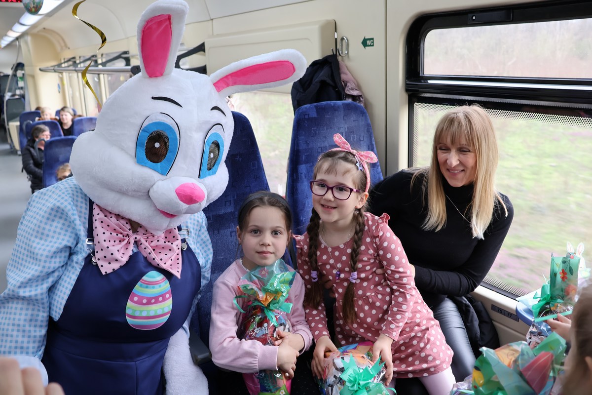 zeko express 2026 (16) zeko express 2026 (16)